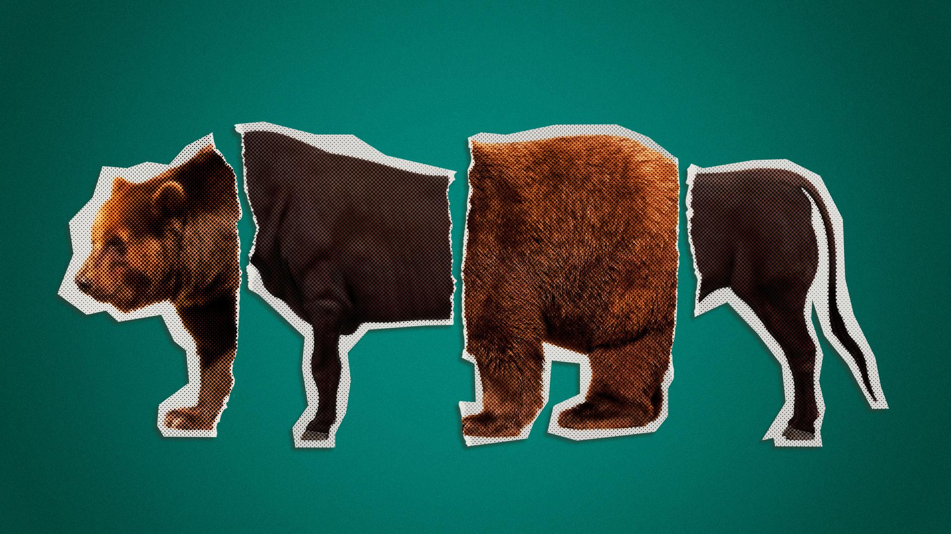 Illustration of cut out pictures of a bear and a bull arranged in a mismatched way. 