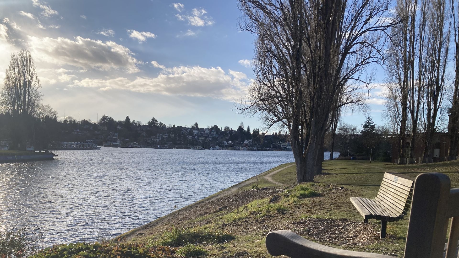 Two benches along a slender body of water with winter bare trees. 
