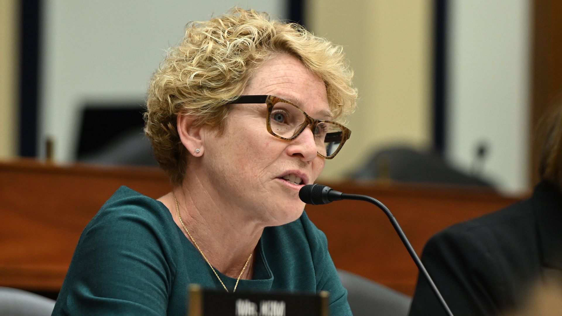 Rep. Chrissy Houlahan, wearing a green top, speaking at a committee hearing.
