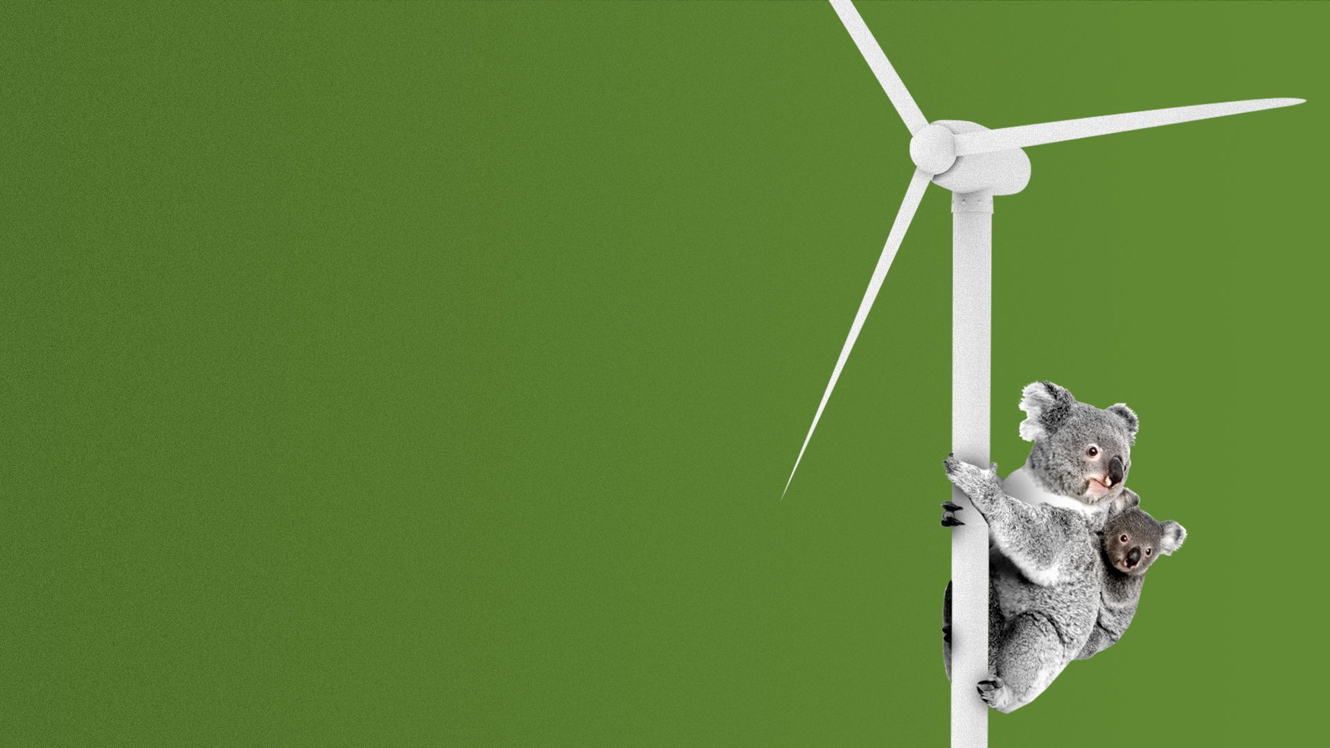 Illustration of a koala clinging to a wind turbine pole. 