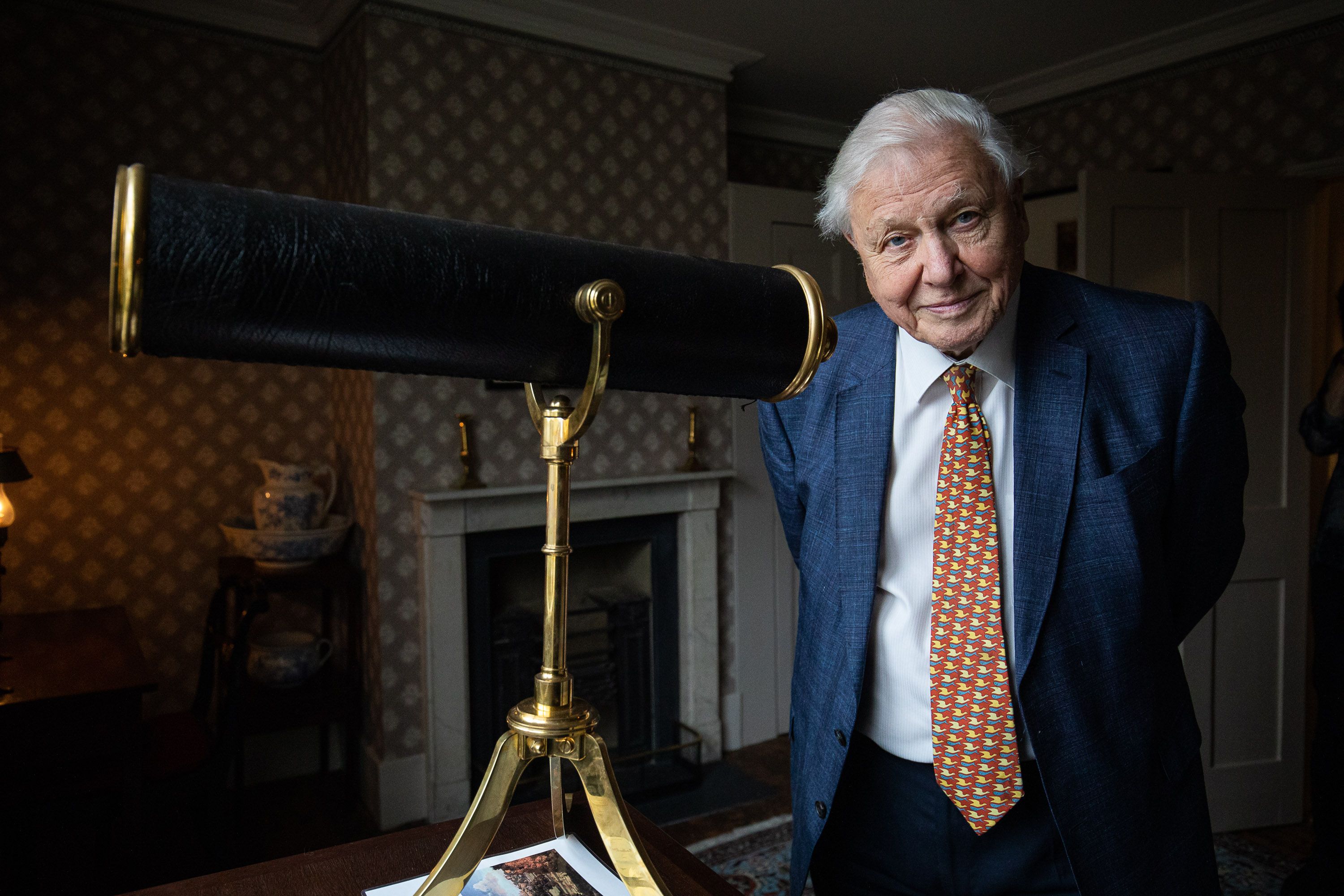 Sir David Attenborough in London in January 2020. Photo: Tim P. Whitby/Getty Images