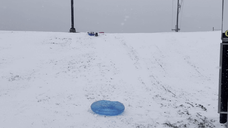 A child and her dog sled down a levee on an innertube.