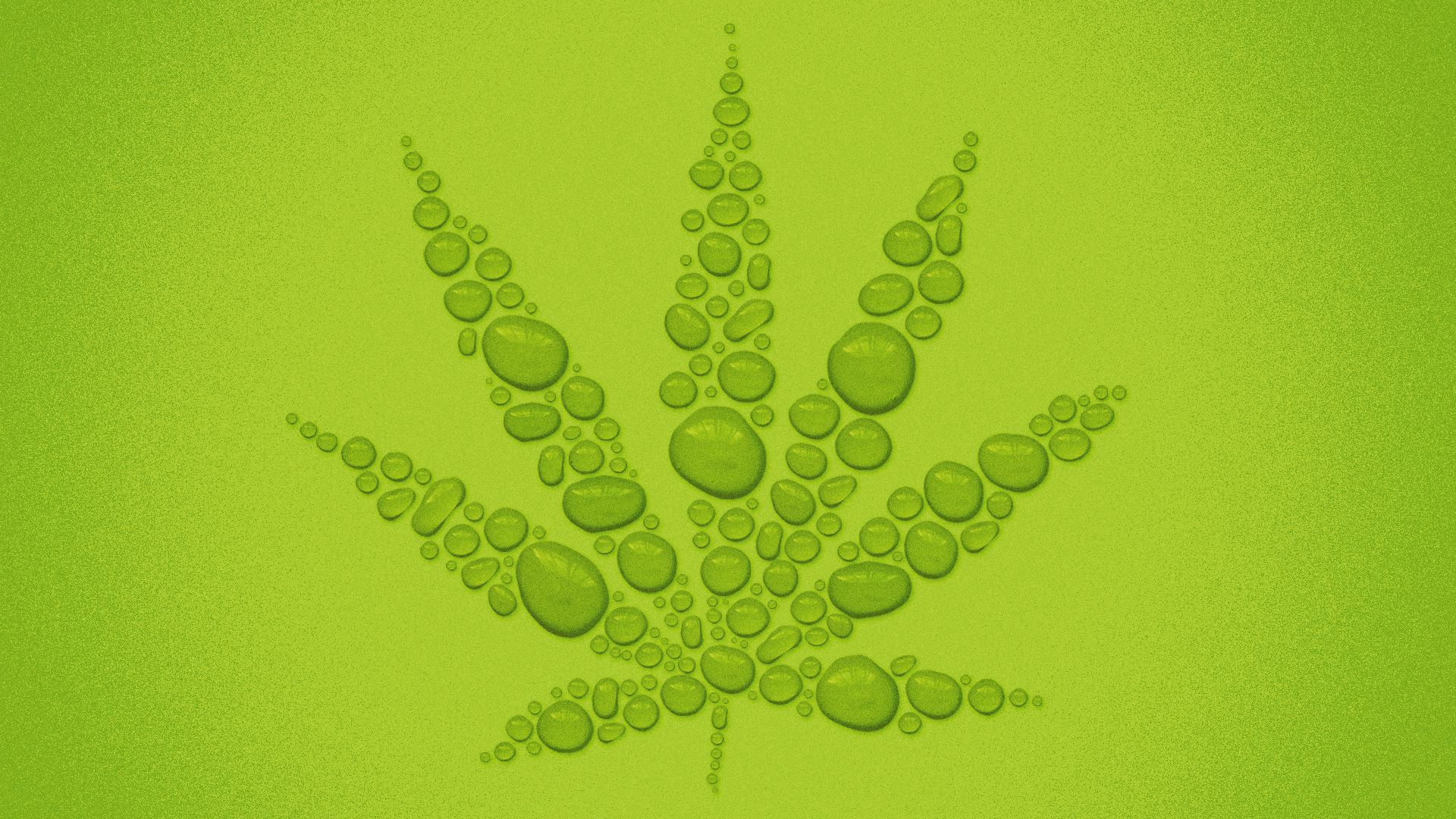 Illustration of water droplets making the shape of a marijuana leaf. 