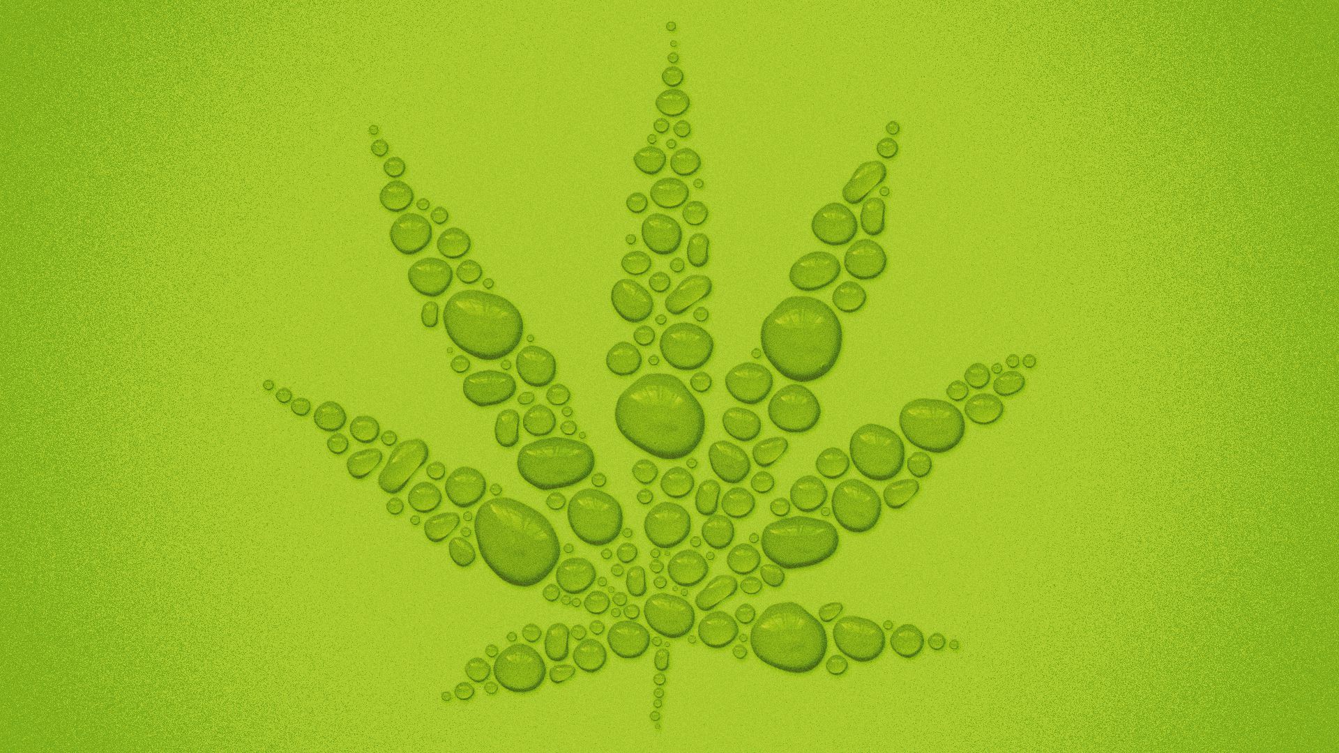 Illustration of water droplets making the shape of a marijuana leaf.