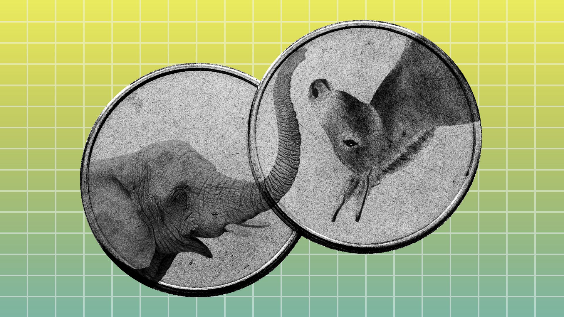 Two coins with an elephant and a donkey on each one