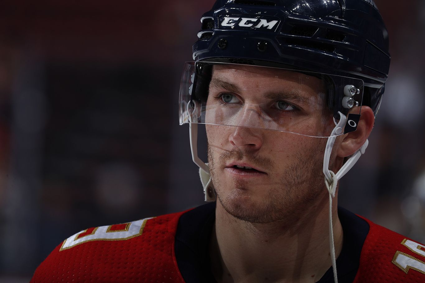 Meet the new Florida Panthers — and where each player fits in