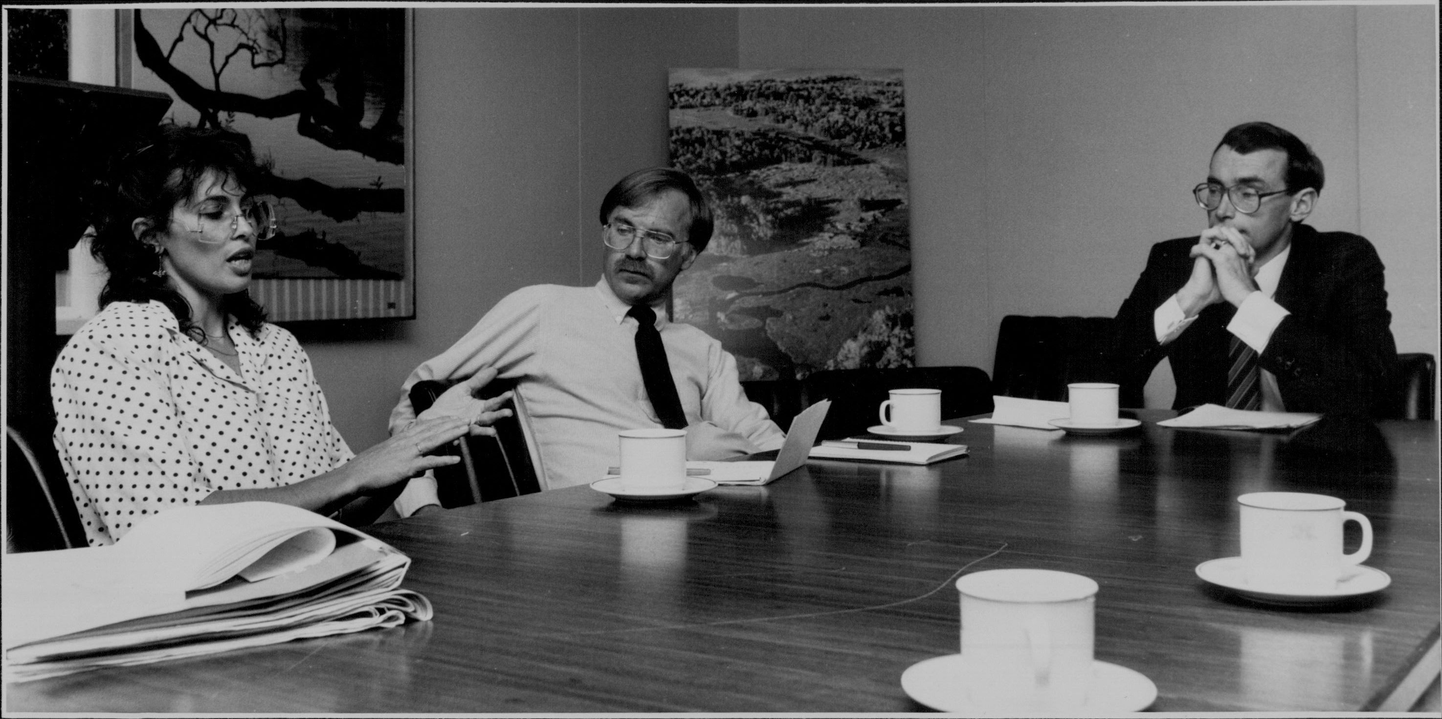 Three professionals sit at an office conference table: left, a woman in a polka-dot blouse speaks; center, a man in a white shirt and tie; right, a man in a suit with hands folded. Cups and papers on the table.