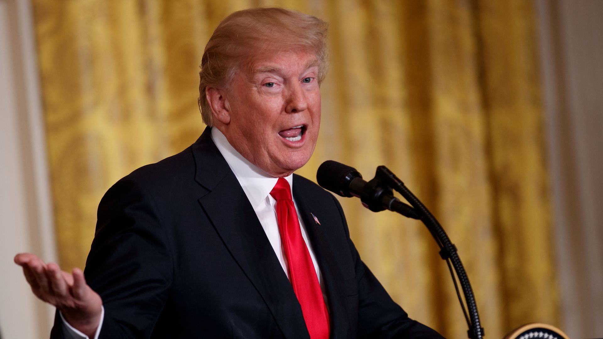 Donald trump at a press conference