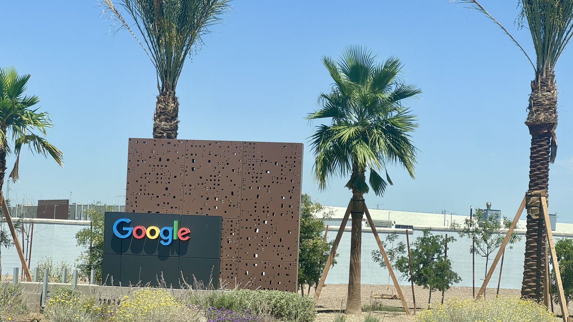 Bright blue sky over a desert data center in Arizona with several palm trees; a brown perforated wall and a colorful Google sign sit at ground level.
