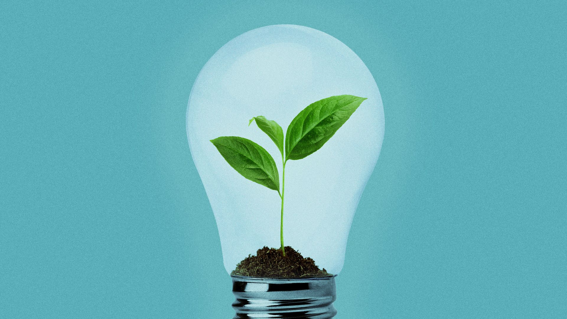 Illustration of a sprout growing in a lightbulb.