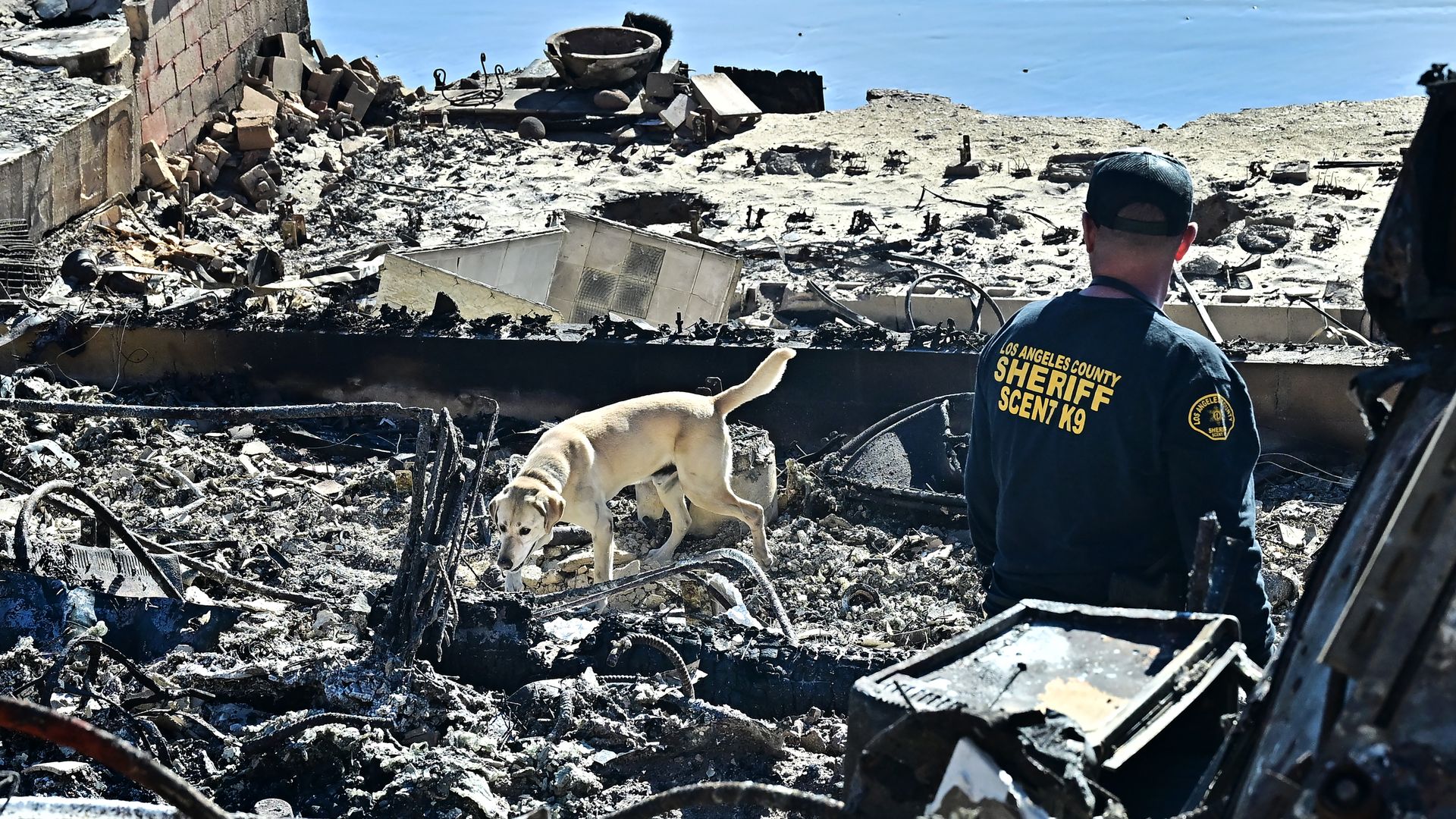 A cadaver dog, from the Los Angeles County Sheriff, sniffs through the rubble of beachfront properties destroyed by the Palisades Fire along the Pacific Coast Highway in Malibu, California on January 12, 2025. 