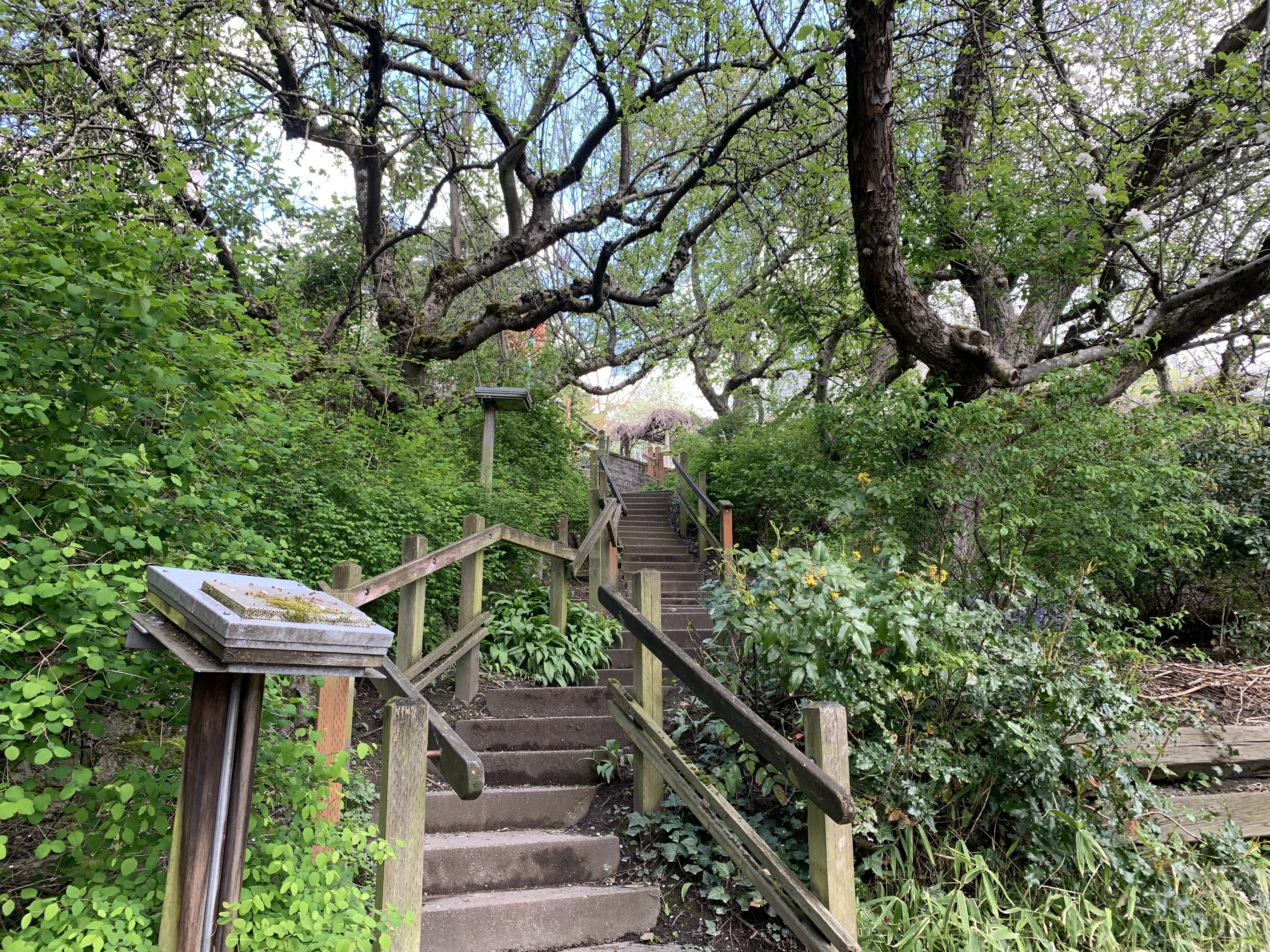 Stairs with a wooden bannister leading up to a tree-lined area, with green plants surrounding the stairs and an informational plaque nearby.