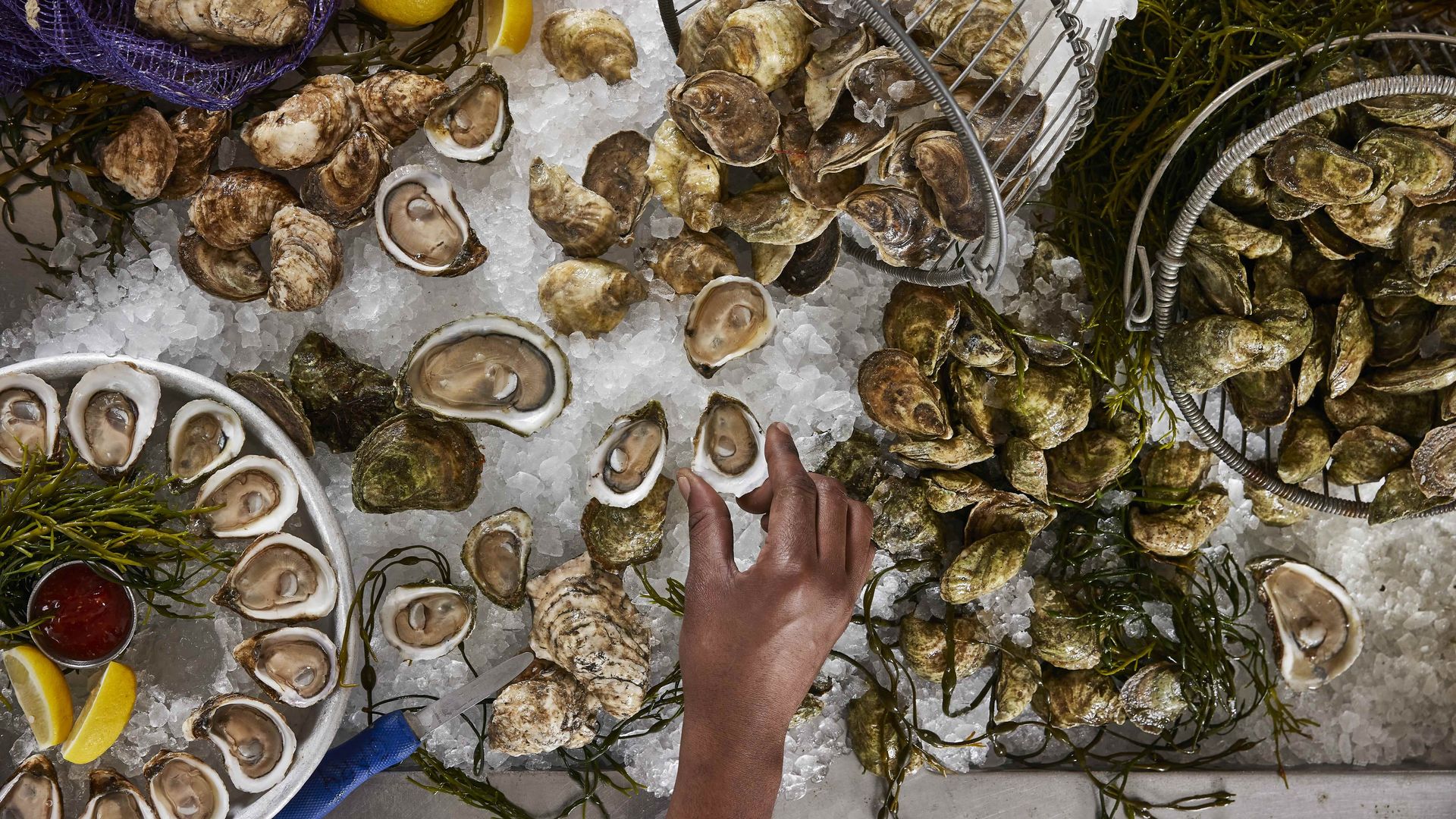 Hand reaching for fresh oysters on ice among baskets of whole and shucked oysters, with lemon wedges, seaweed garnish, and a small bowl of red sauce on a round metal tray.