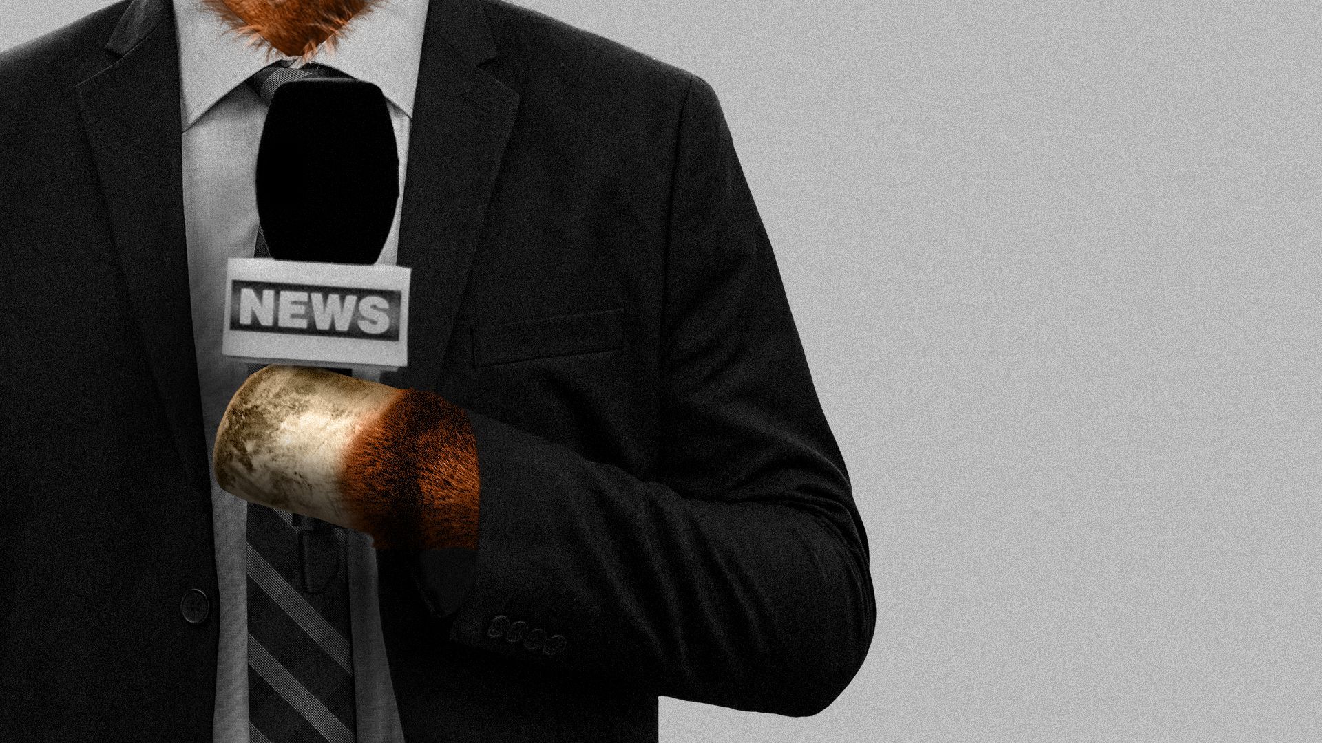 Illustration of a donkey dressed as a news anchor holding a news microphone.