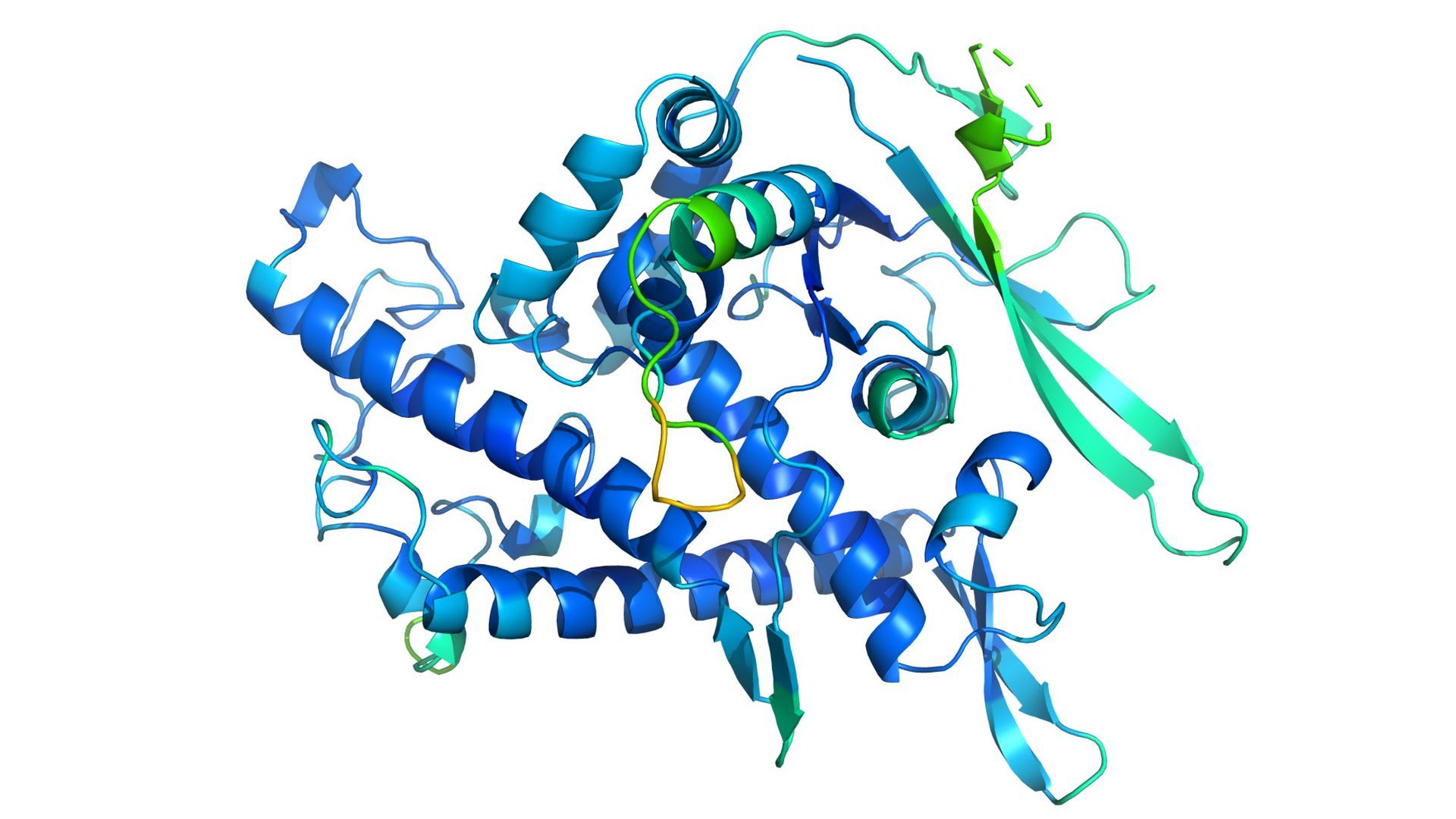The structure of T1037, part of a protein from a phage that infects viruses.