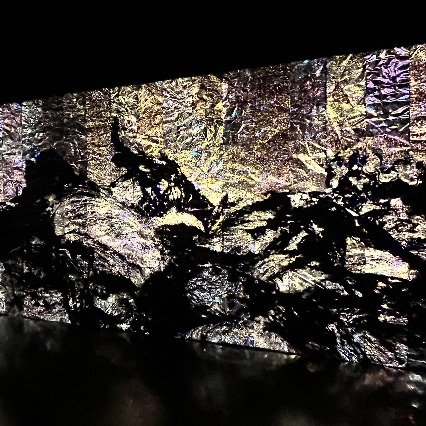 Japanese are collective teamLab now on display in Chicago - Axios