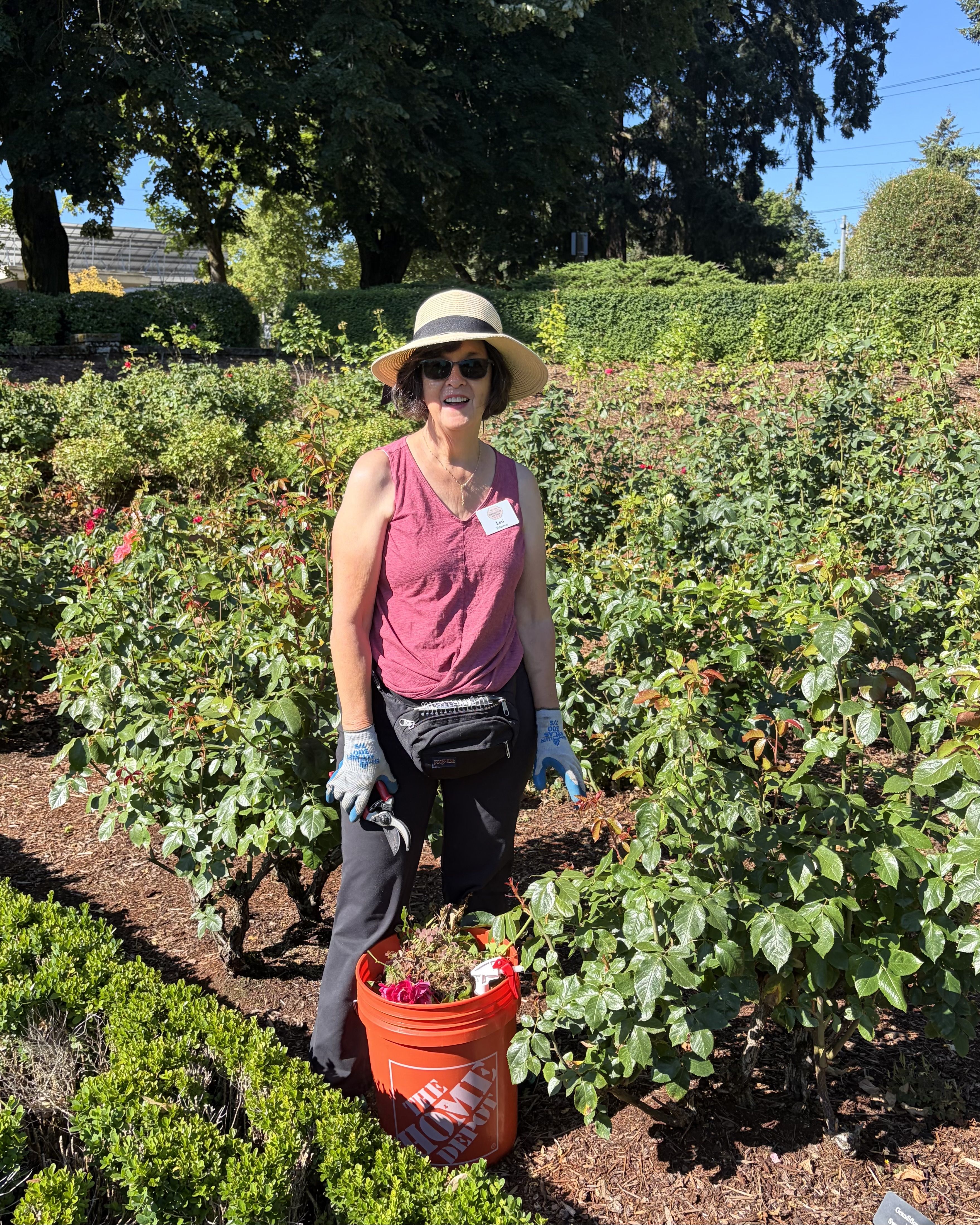 Smiling woman in a wide-brim straw hat and sunglasses stands in a rose garden with hedges and trees behind. She wears a pink sleeveless top, gloves, a waist bag, and holds pruning shears; an orange bucket nearby.