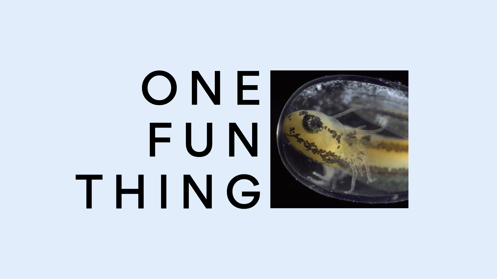 One big thing text to the left of a thumbnail screenshot of a cell mid-transformation into a tadpole