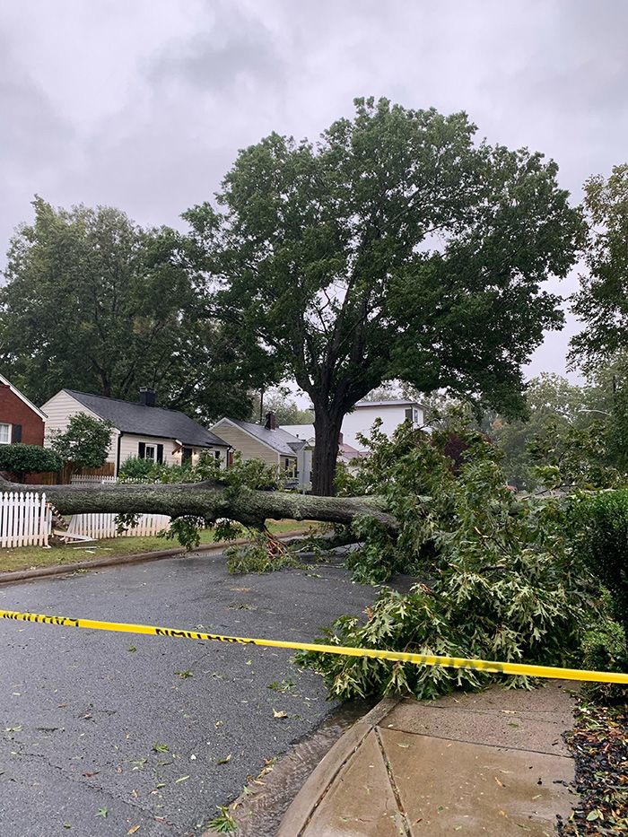 Holt Street and East 34th Street Friday afternoon. Photo: Jesse Soloff/Axios