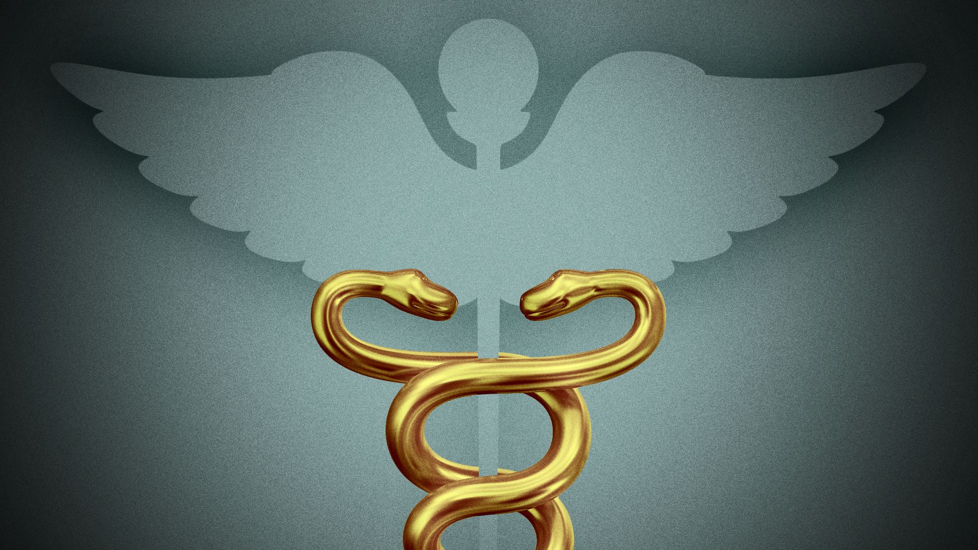 Illustration of a medical caduceus missing all of its parts except for the snakes. 