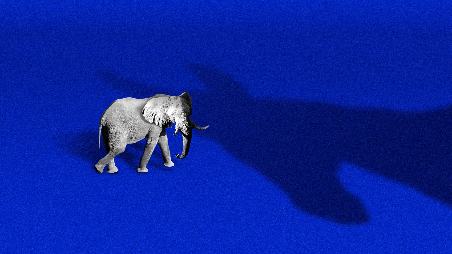 Illustration of an elephant walking into the large shadow of a donkey.