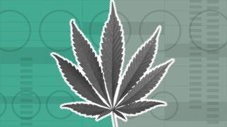 Illustration of a marijuana leaf on a background with ballot elements.
