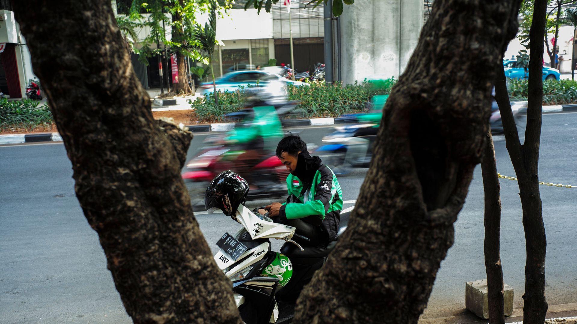 Grab taxi driver in Indonesia.