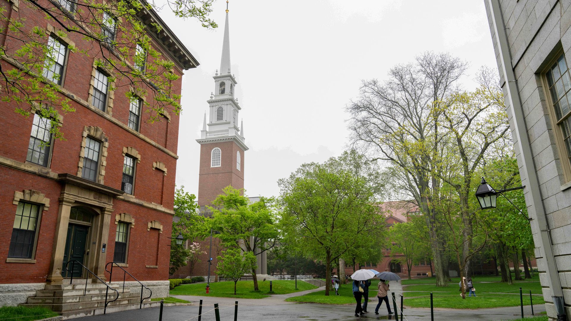 A photo of the Harvard campus. 