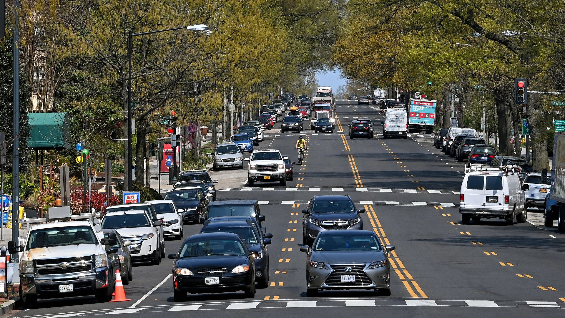 Cars wait at a stop light on a tree-lined street.