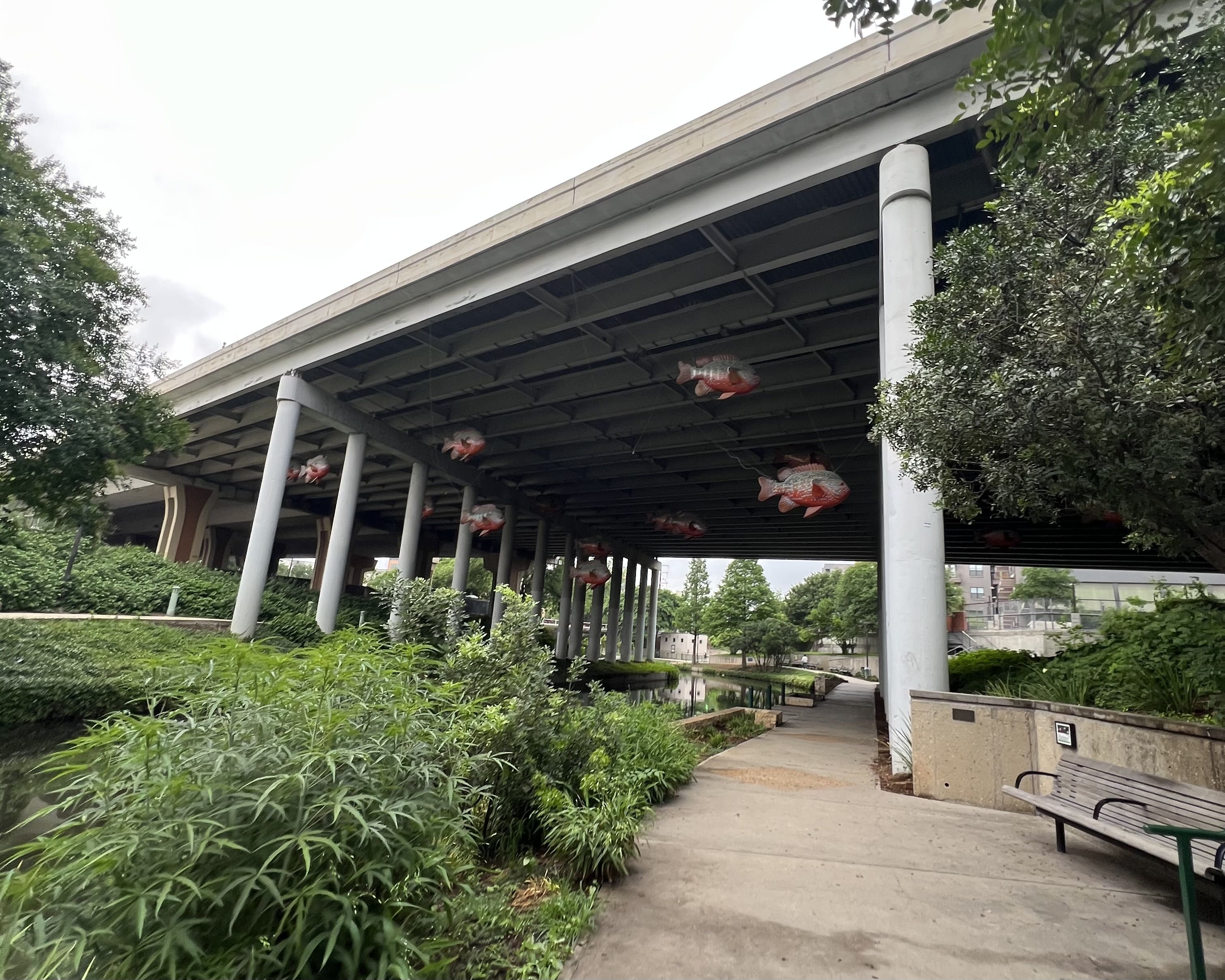 A photo of fish installations hanging from a bridge on the San Antonio River Walk.