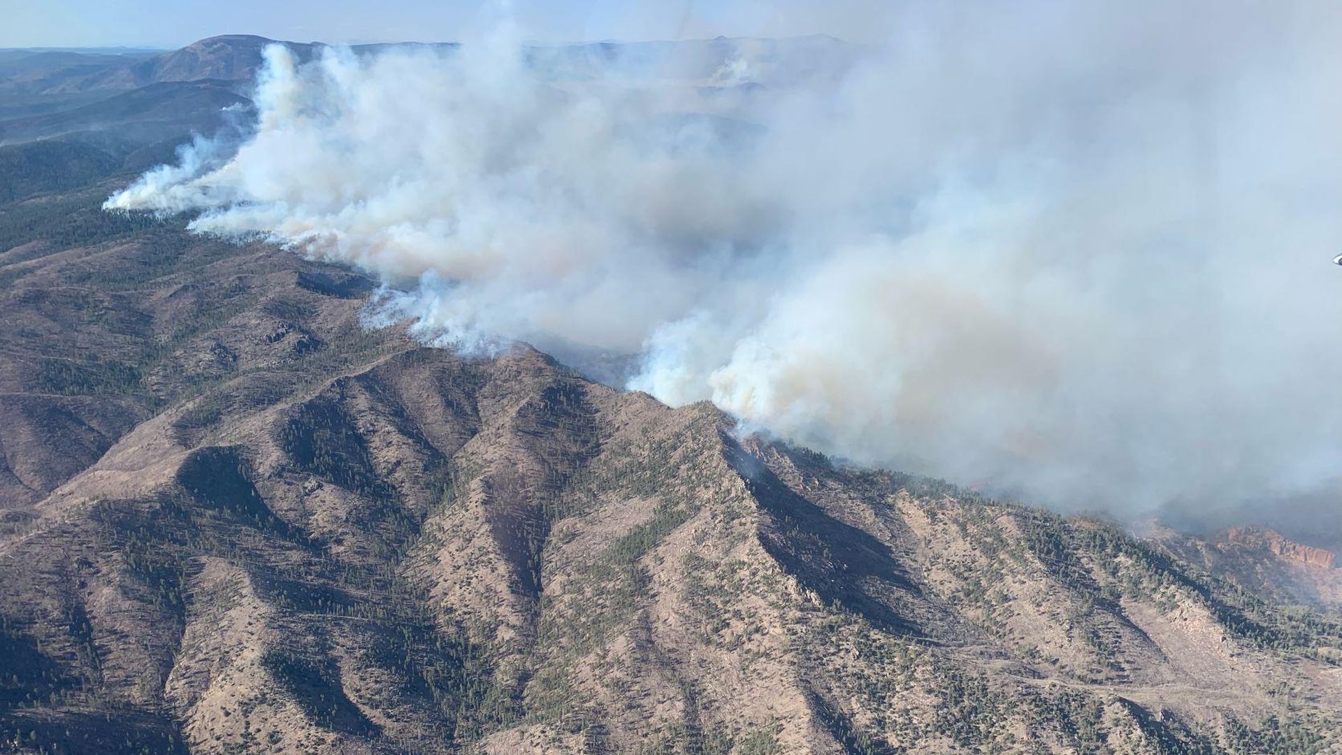 The Cerro Pelado Fire burning in the mountains as seen from the sky.