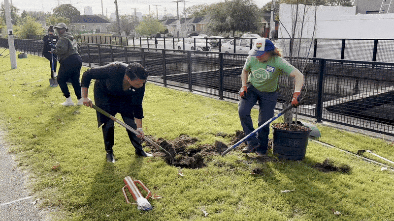Photo shows two women planting a tree.