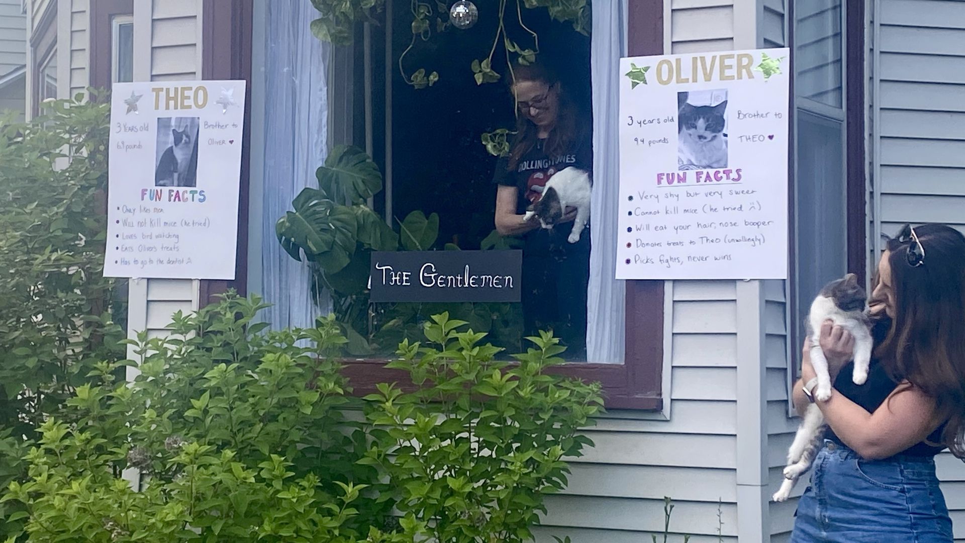 2 cats with big signs about them that you can't actual read