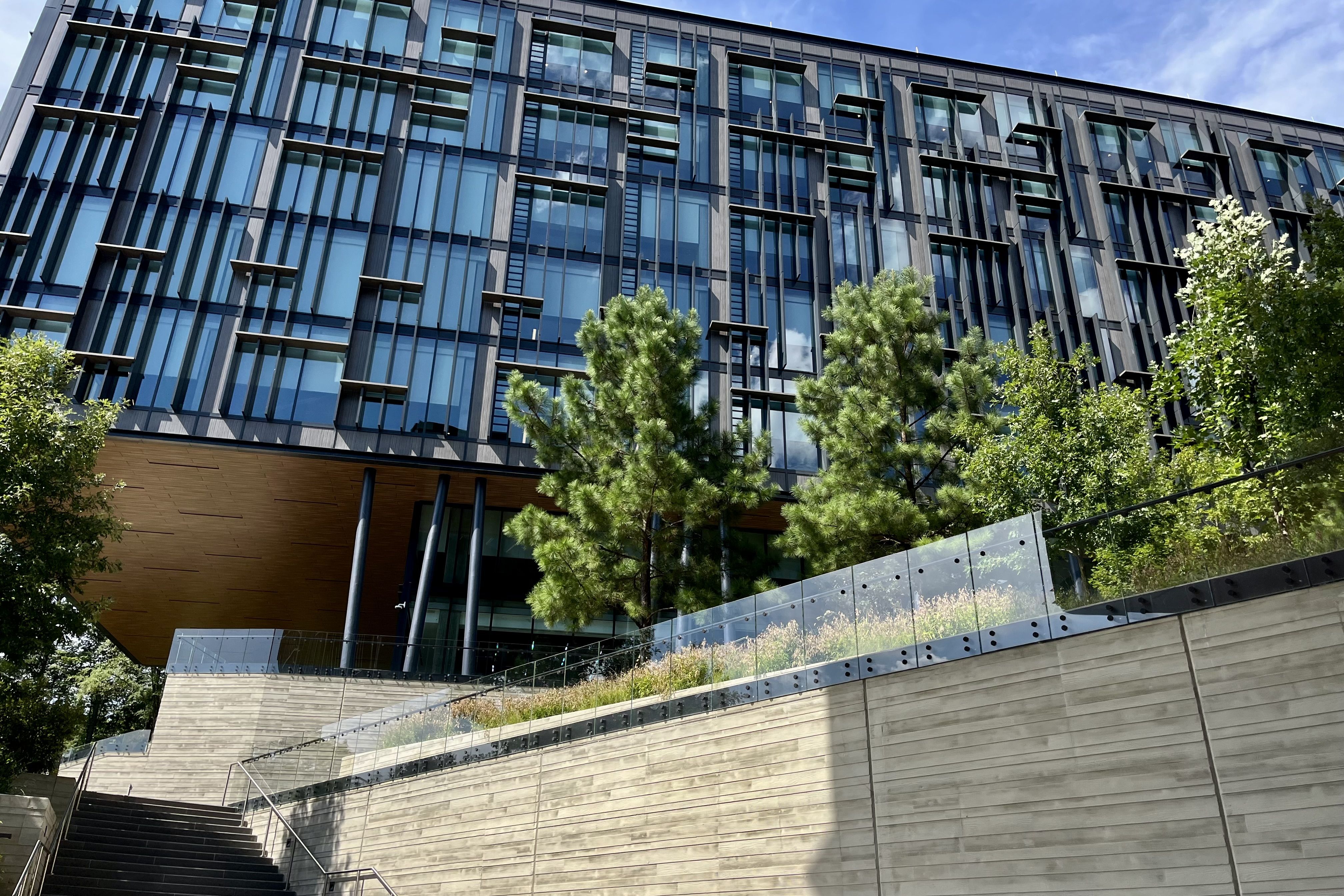 Modern building with large blue tinted glass windows and black vertical frames, surrounded by green trees and shrubs, with a concrete stairway and railing in the foreground under a blue sky.