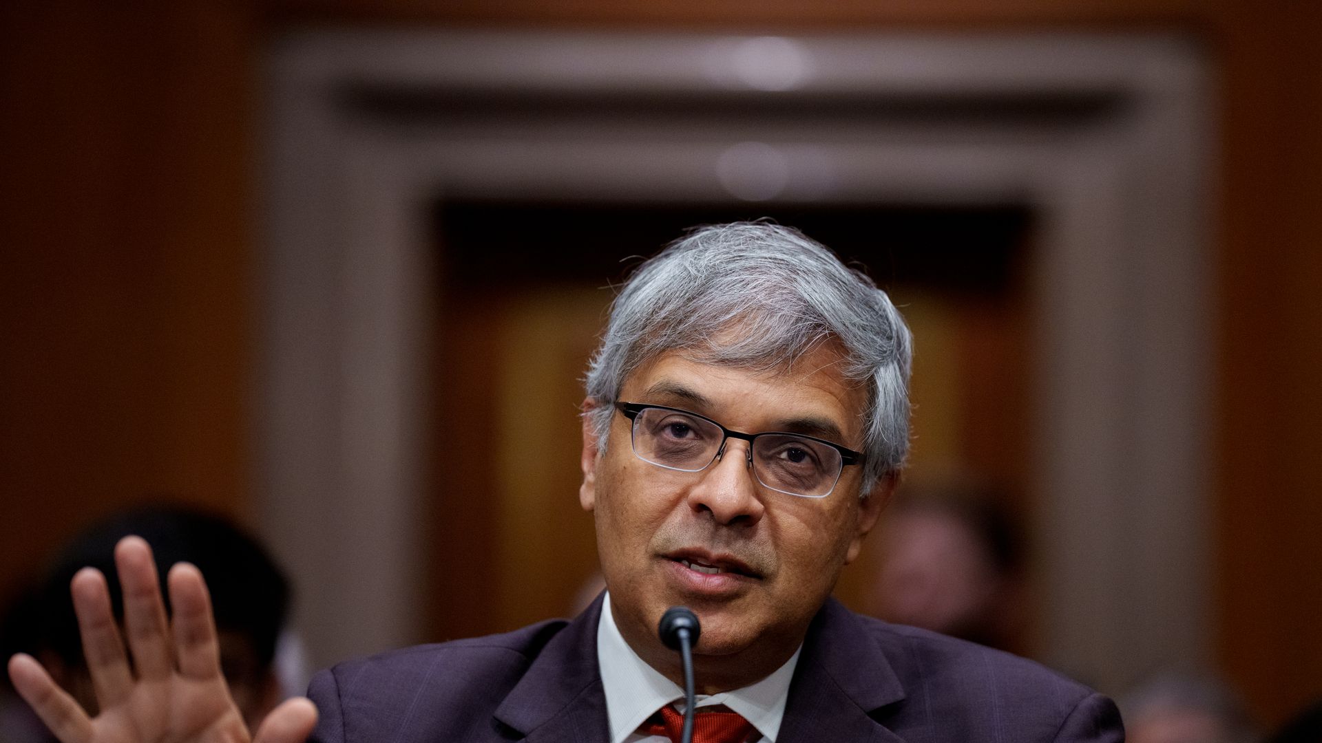 Jay Bhattacharya at a Senate hearing.