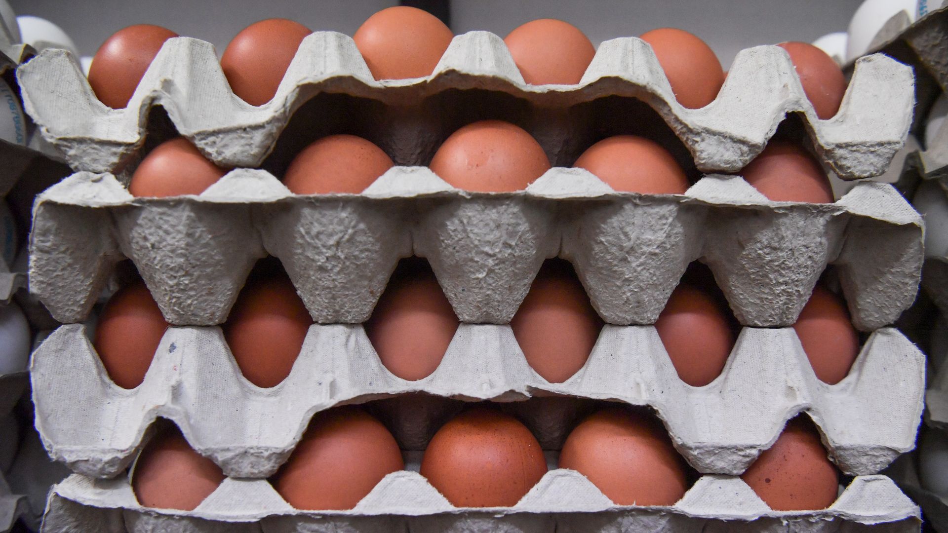 Eggs in cartons