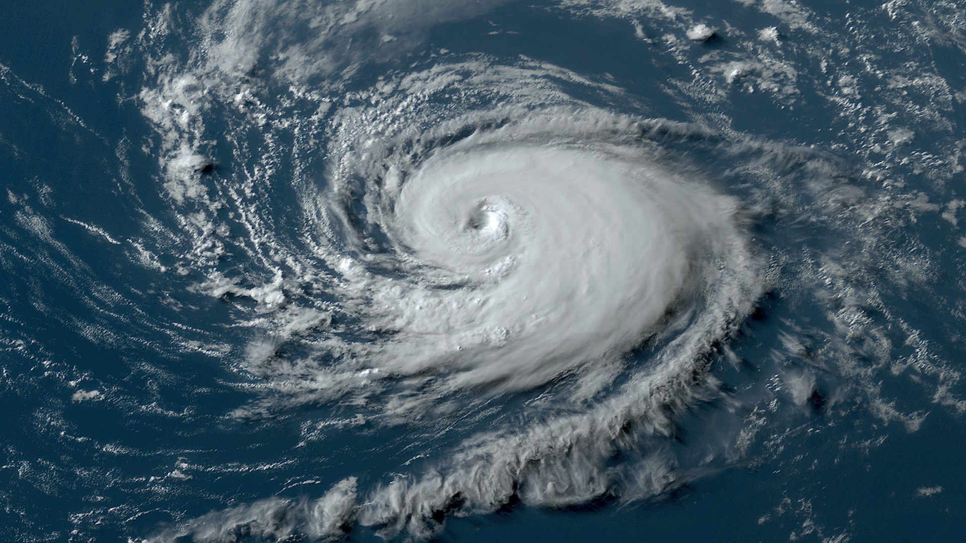 A satellite image of a white spiral-shaped storm surrounded by blue. 