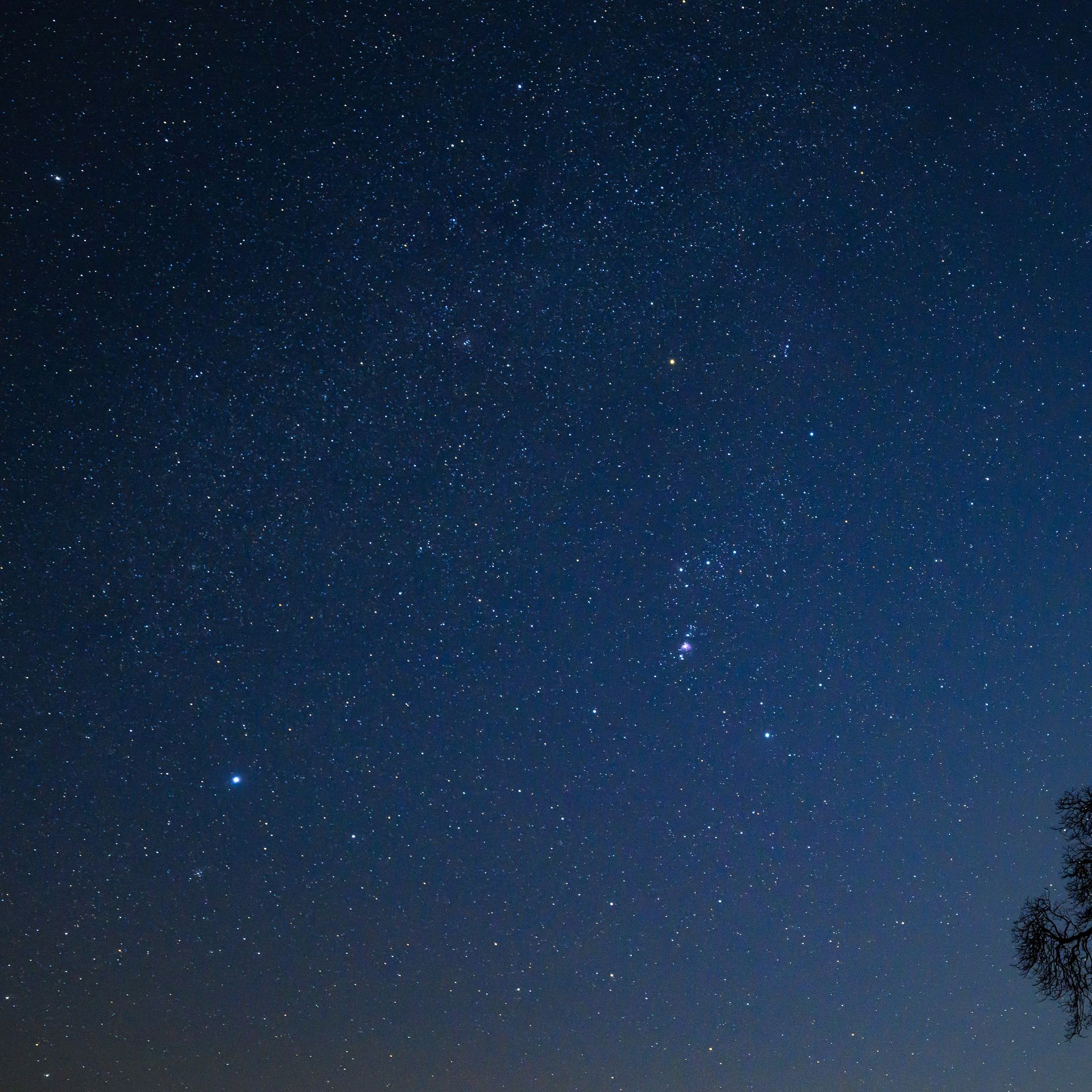 the night sky (夜空) Stargazers may get a chance to see seven planets in one night
