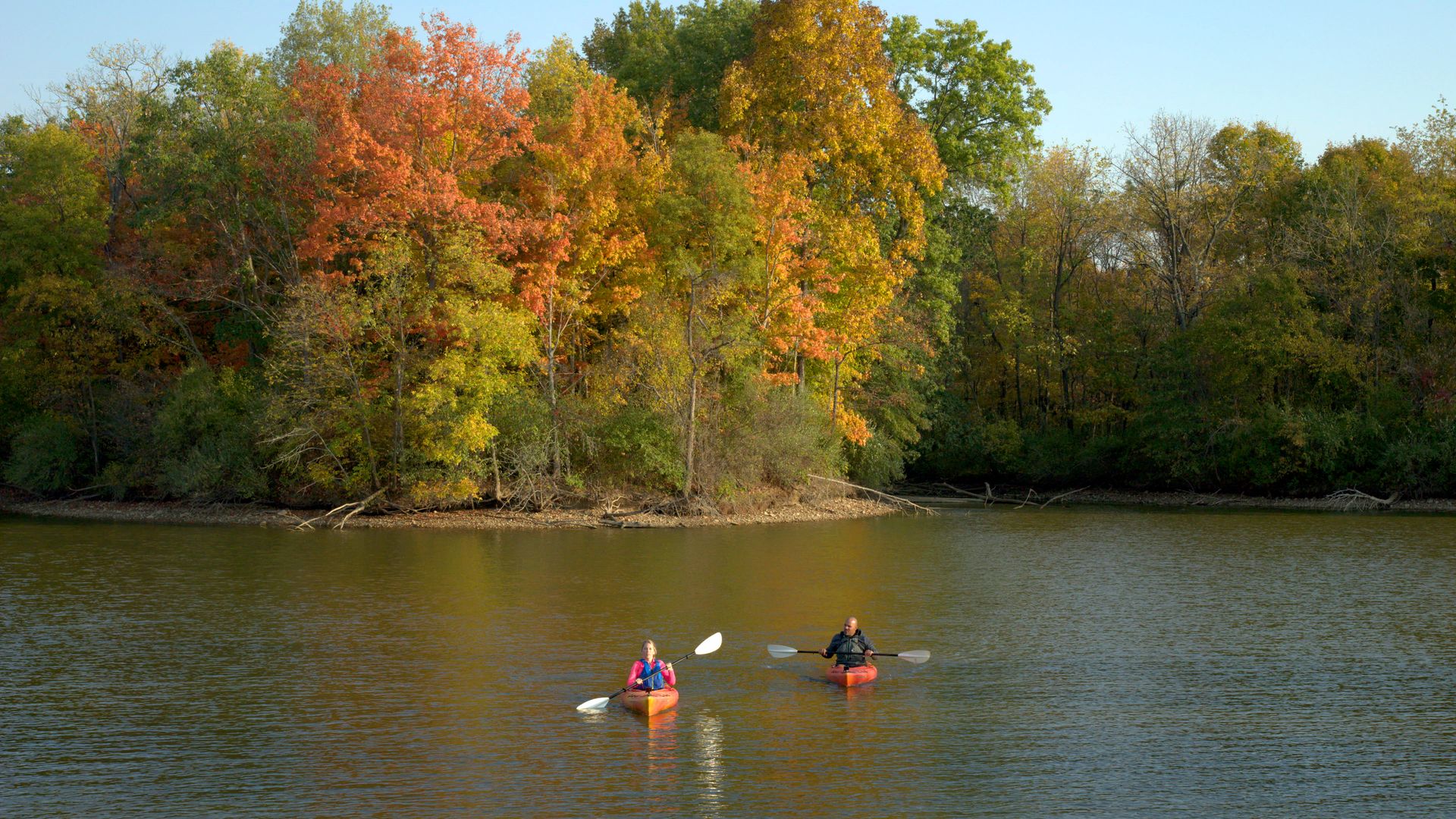 Two people kayaking on calm water near a forested shore with trees showing fall colors of green, yellow, and orange under a clear blue sky.