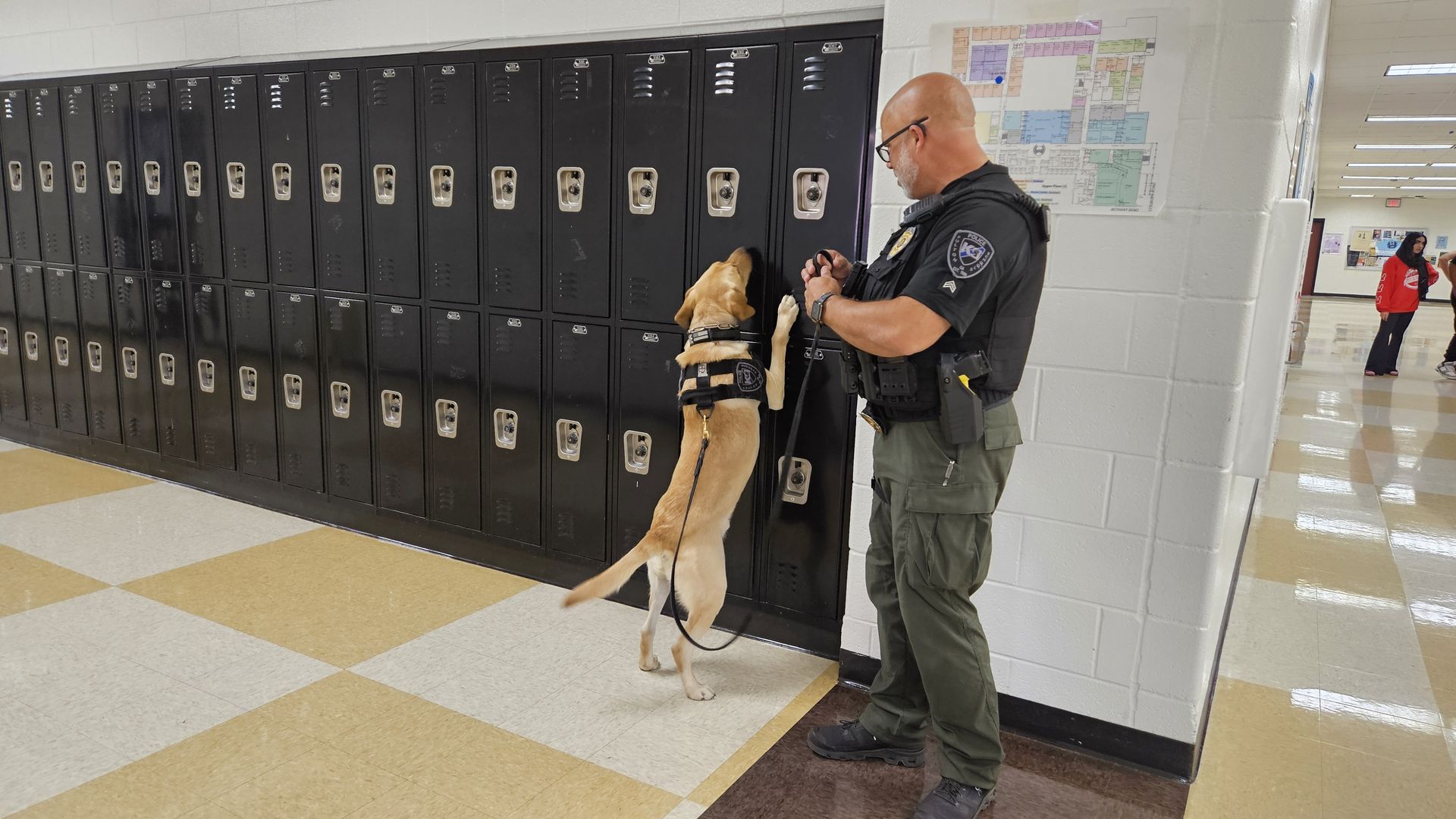 Police K9 Ernie sniffs out gunpowder at a locker at Cambridge High School in Milton as his handler, Sgt. Sean Hanse, watches.