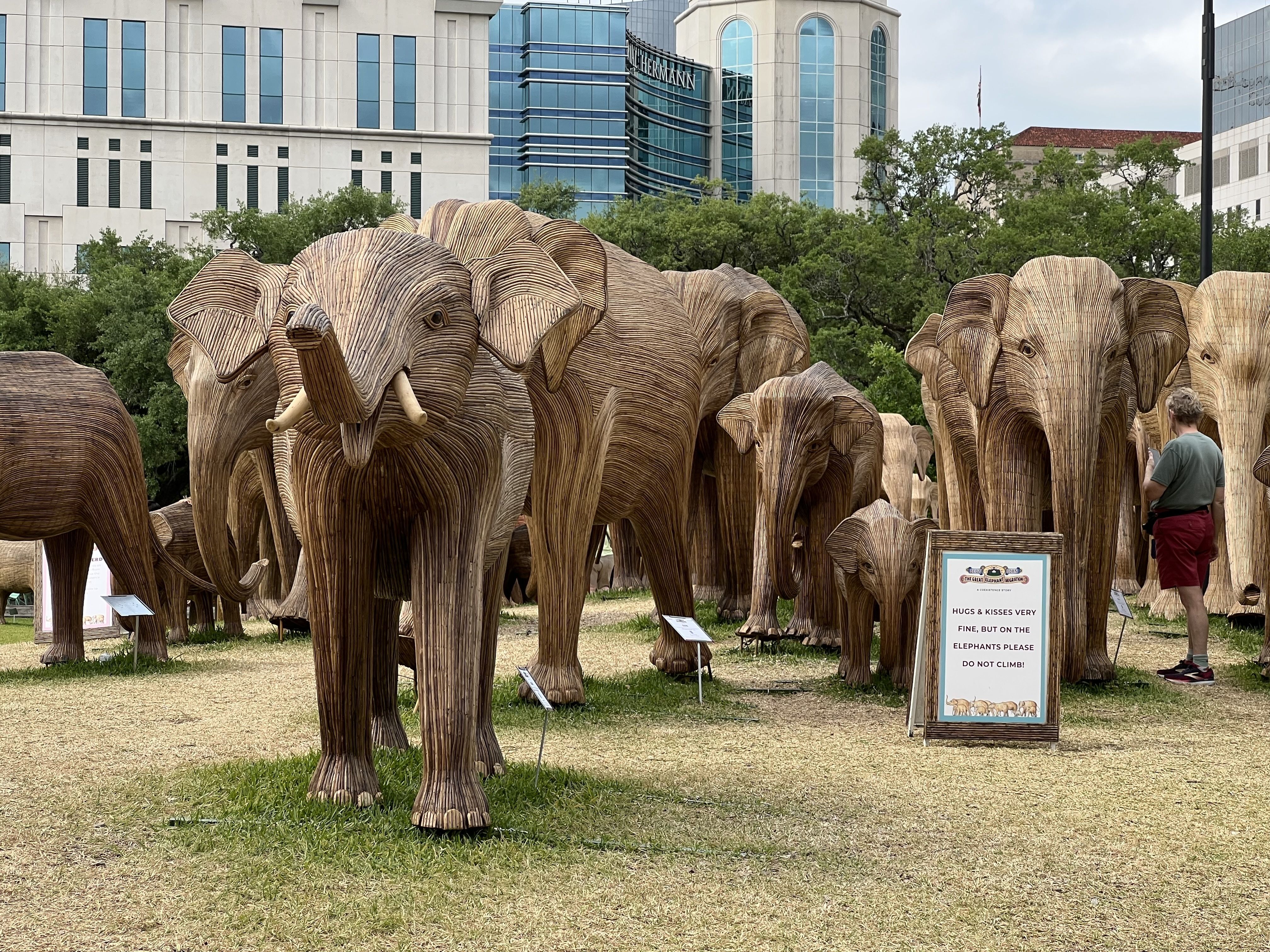A herd of life-sized handmade elephants in Hermann Park