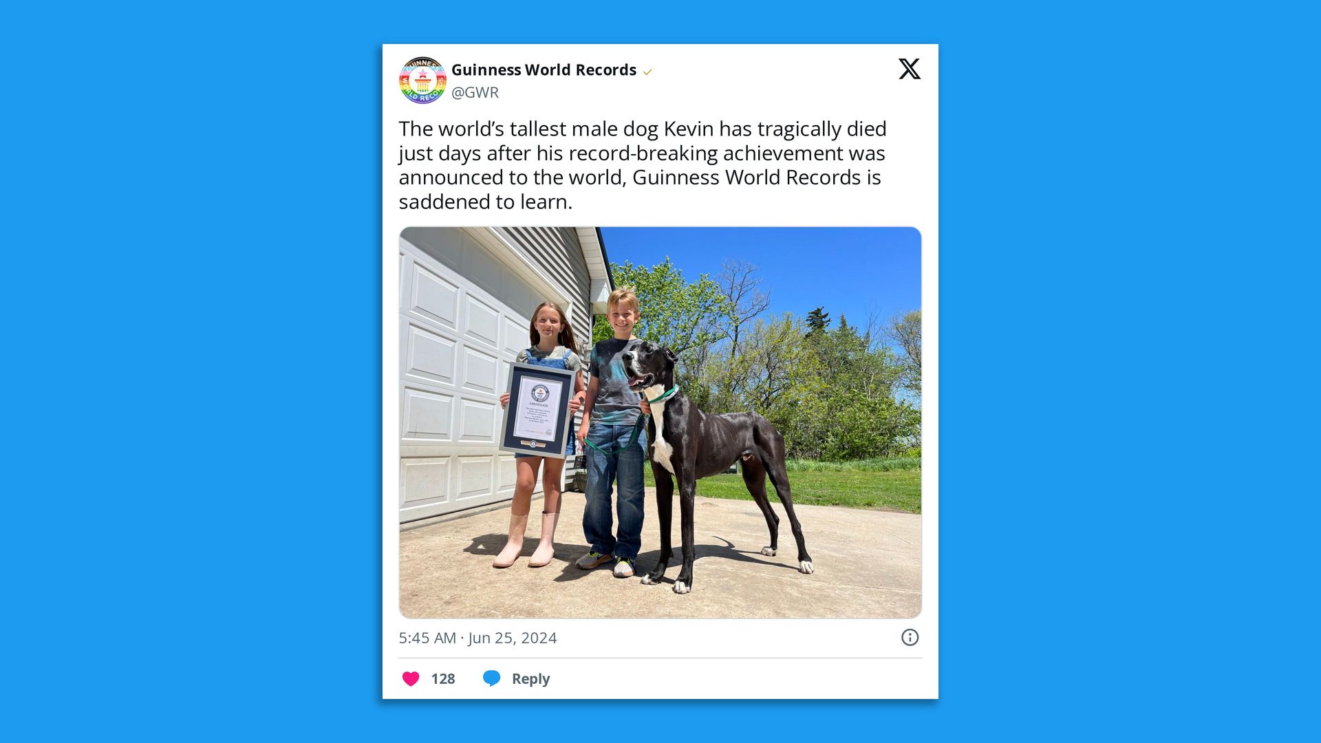 A tweet showing kevin the dog next to a kid holding his world record certificate