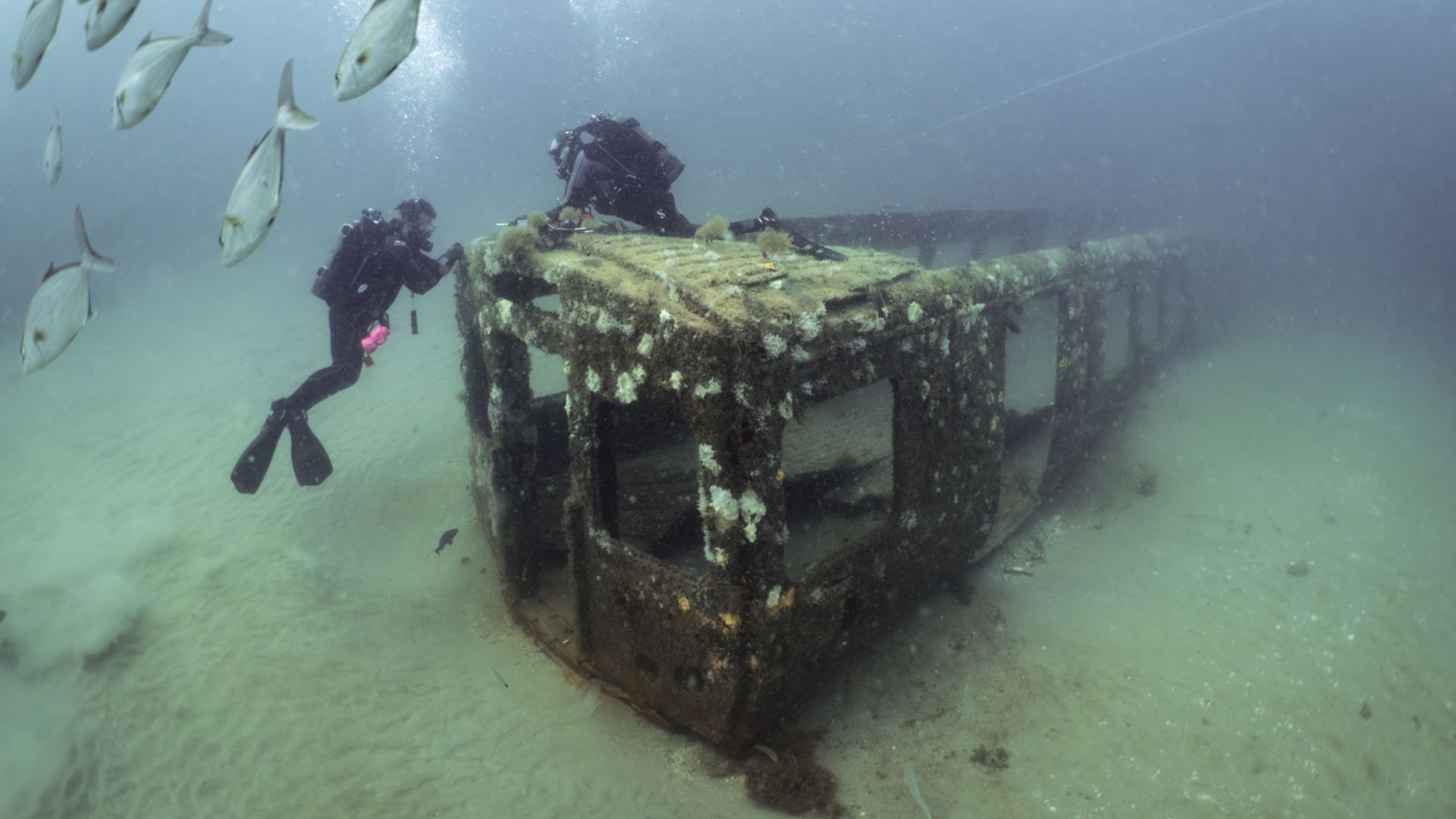 Underwater view of two divers exploring a rusted, coral-encrusted shipwreck on a sandy seabed, with a school of slender silver fish swimming to the left.