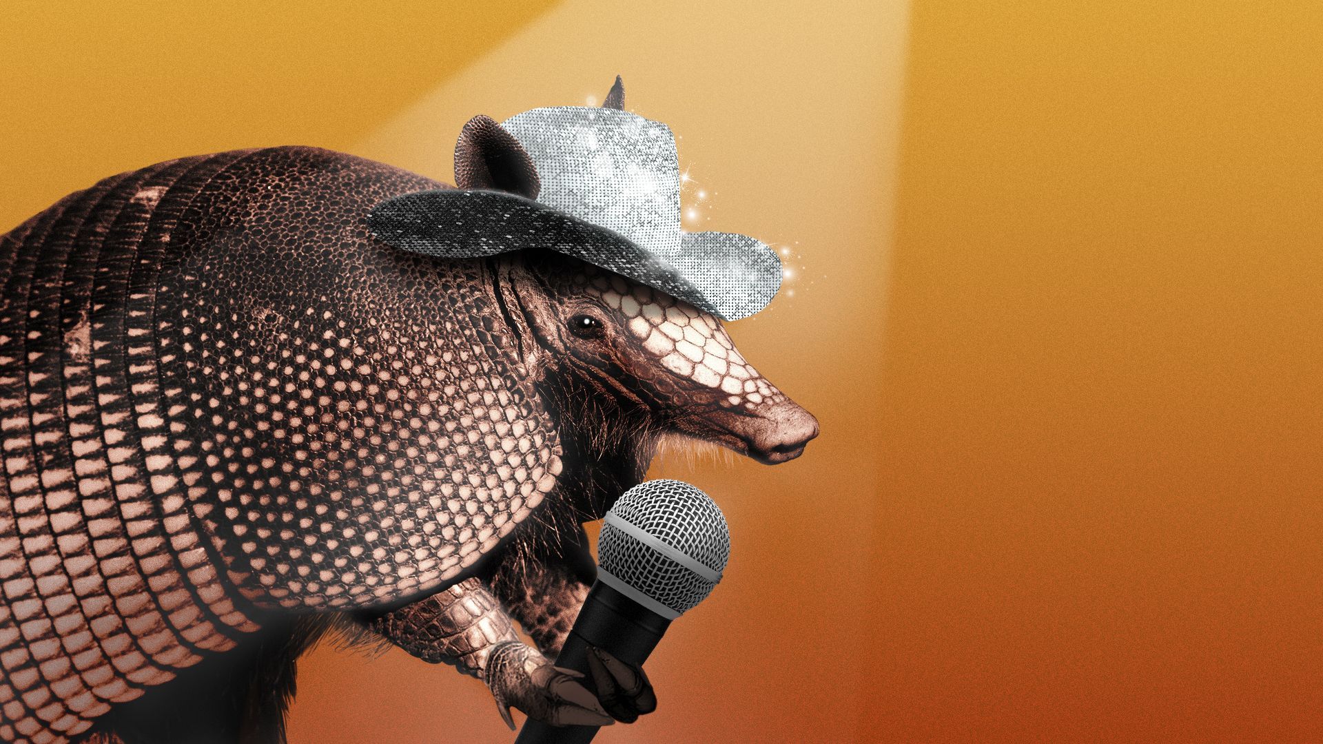 Illustration of a spotlit armadillo wearing a disco cowboy hat and holding a microphone.