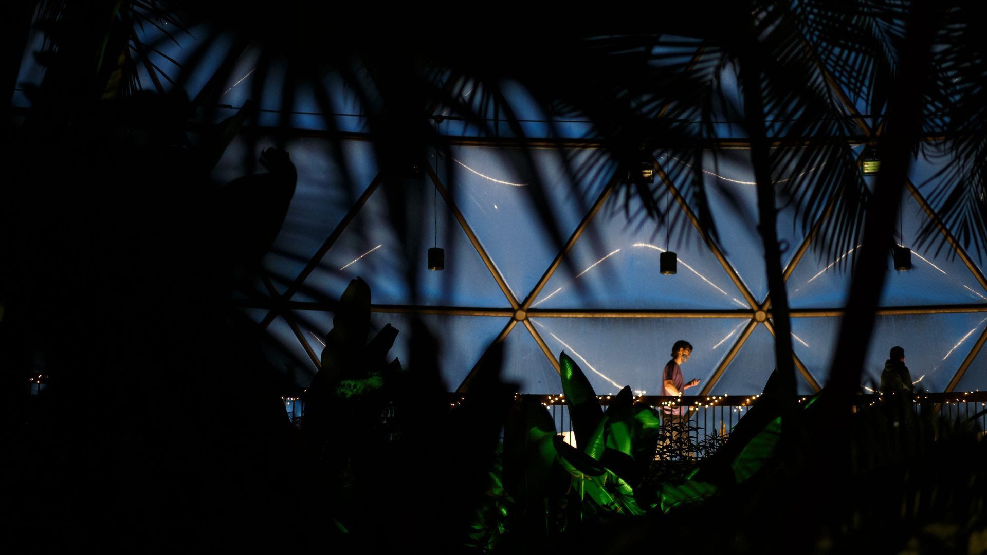 A man stands in focus during the Greater Des Moines Botanical Garden's "Dome After Dark" event.