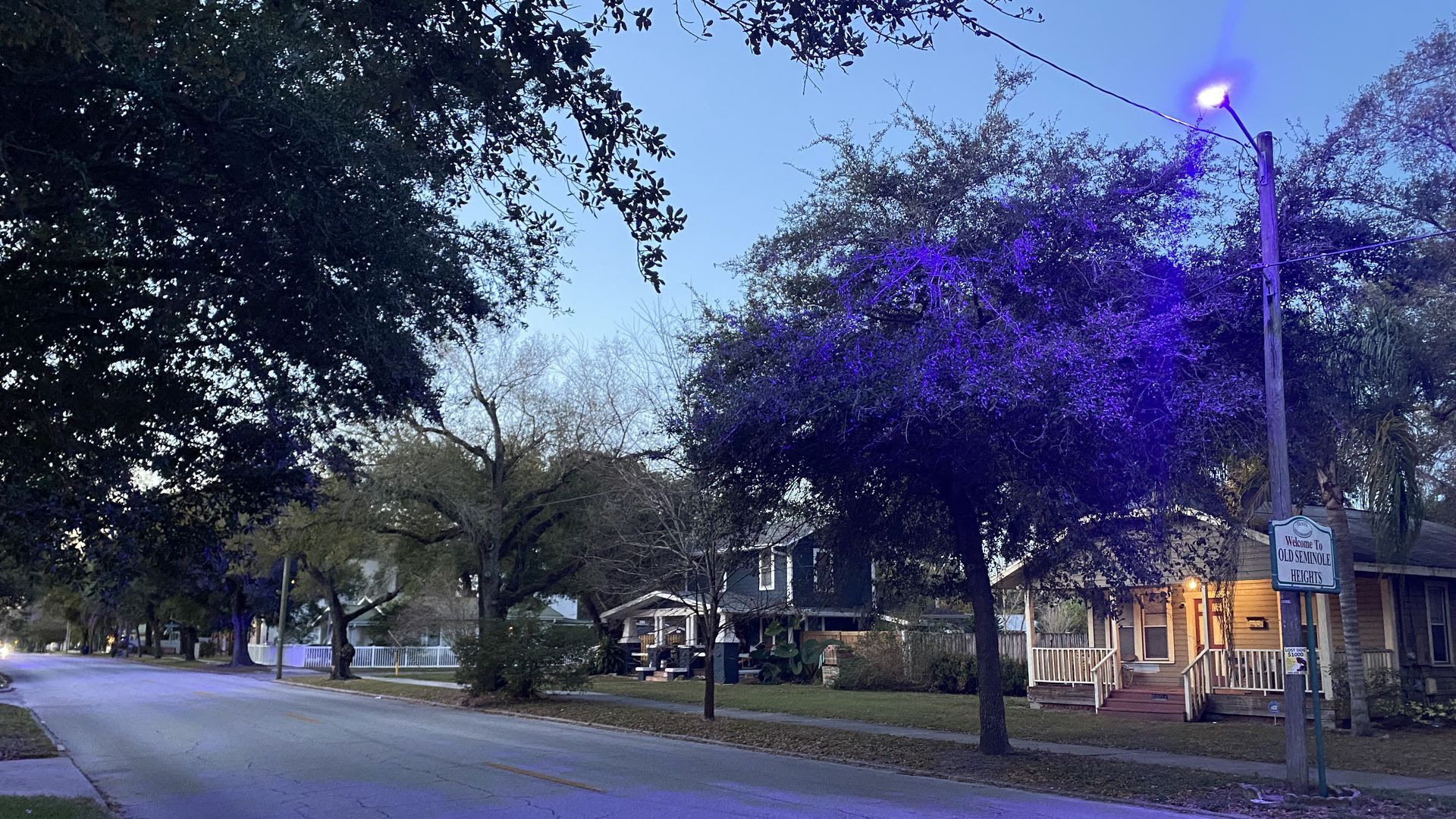A purple streetlight in Tampa's Old Seminole Heights at sunrise.