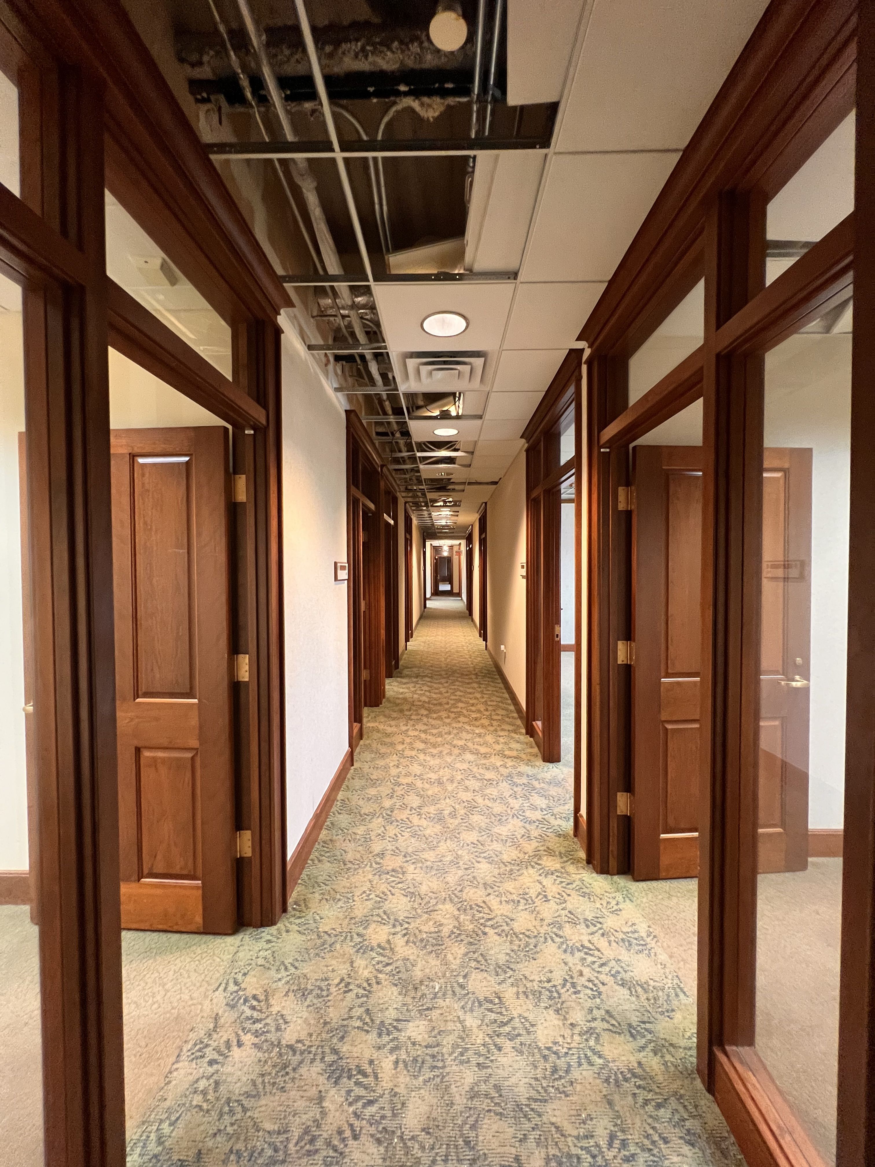 Long hallway with dark wood door frames, beige walls, and a blue patterned carpet. Several ceiling tiles are missing, exposing pipes and ducts above.