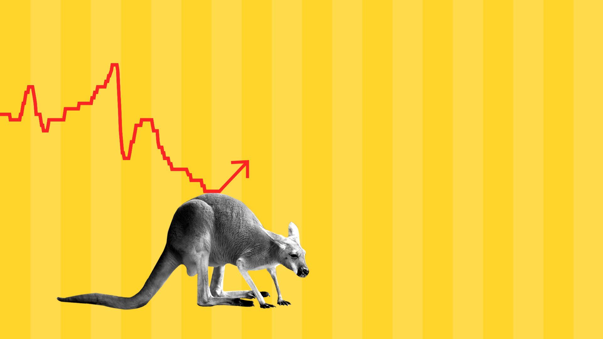Kangaroo pushing up a stock chart