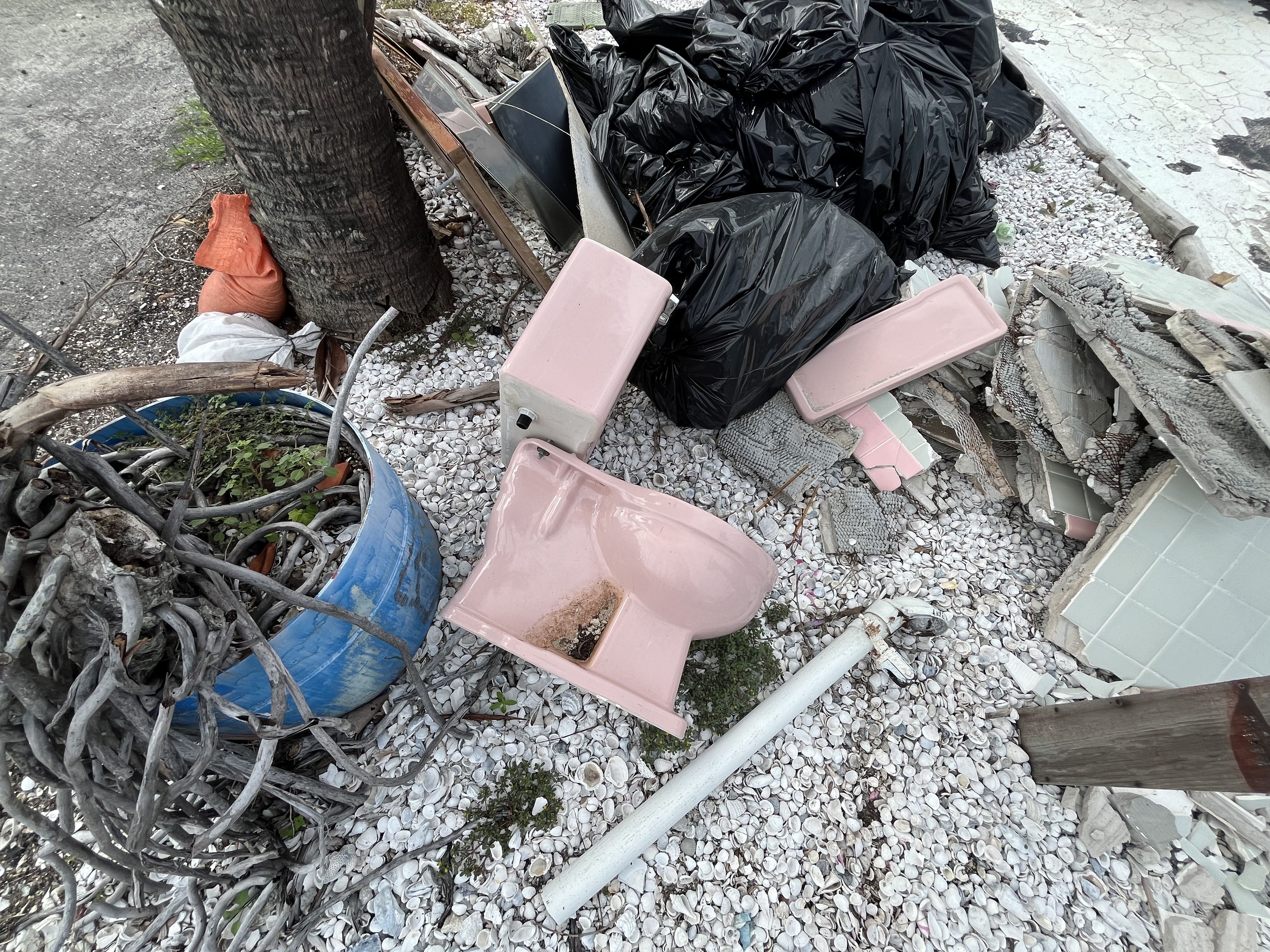Discarded pink toilet and tank lie on a gravel bed of white shells next to a tree, blue barrel with sticks, black trash bags, and debris including tiles and pipes.