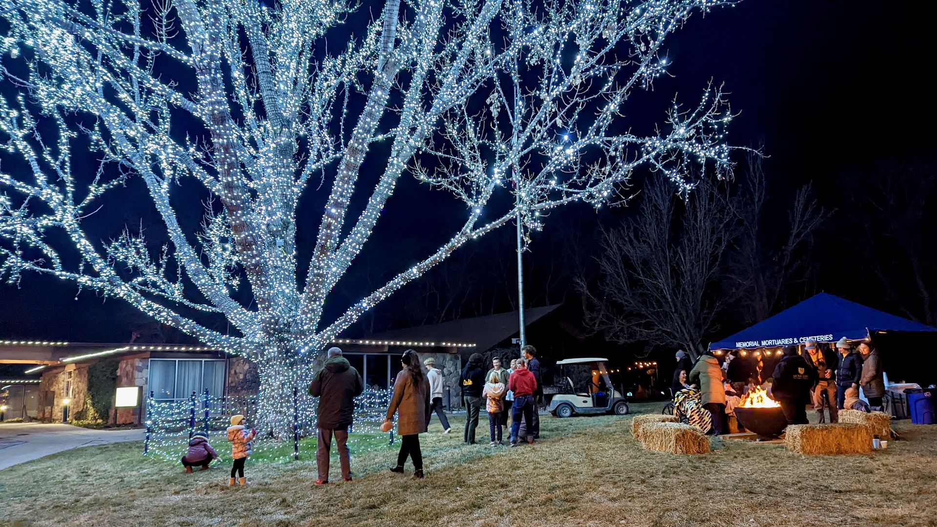 A large tree lit in white christmas lights next to a bonfire and a small tent.